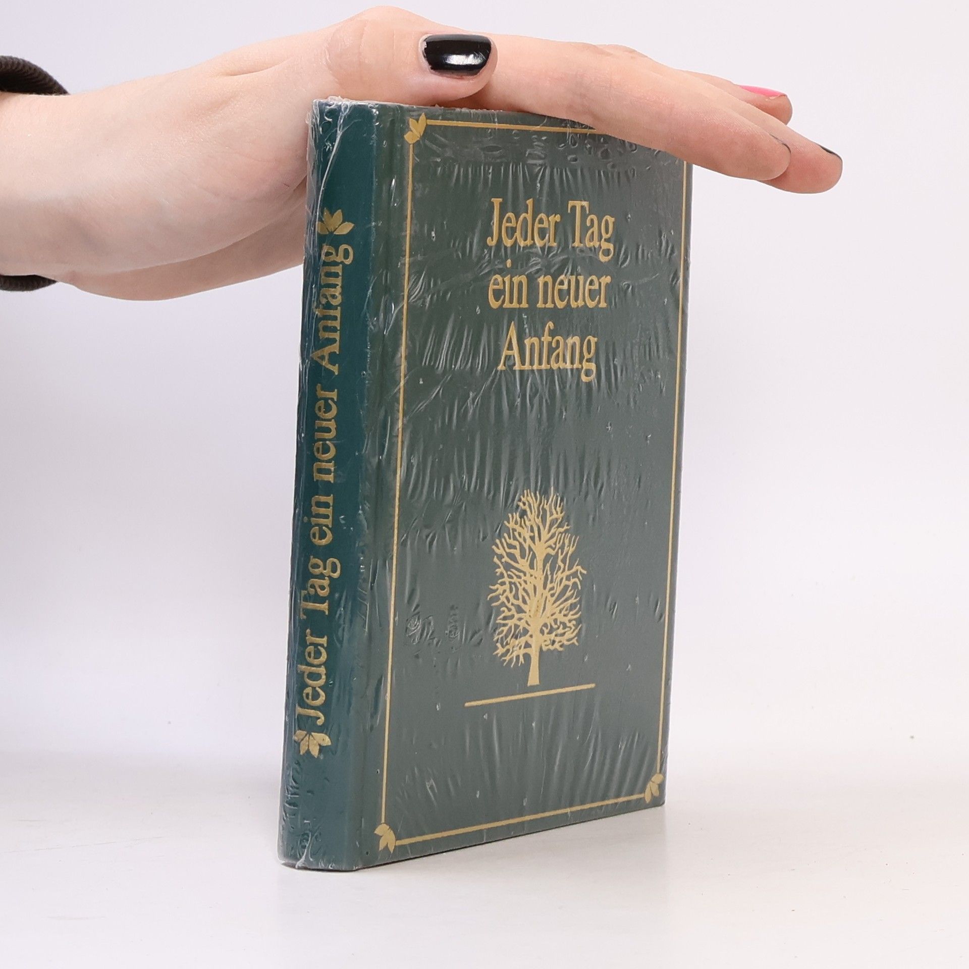 AA.VV. Jeder Tag ein neuer Anfang