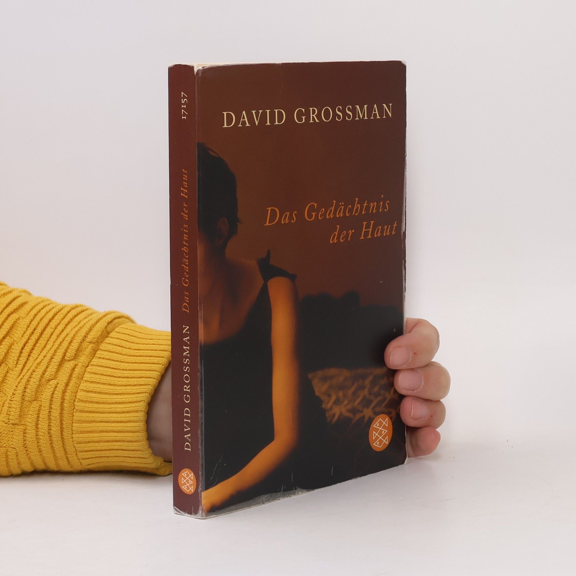 David Grossman Das Gedächtnis der Haut