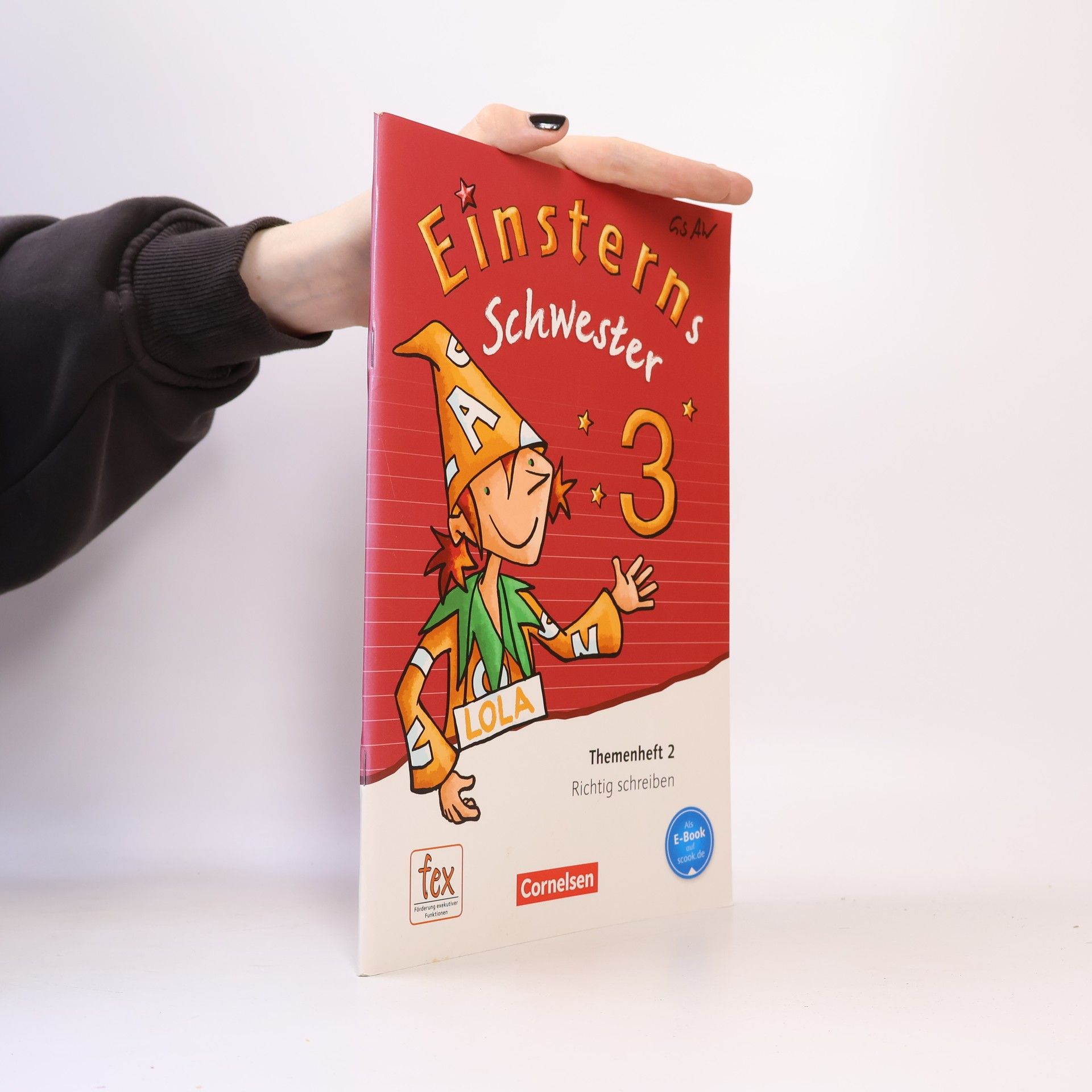 Wiebke Gerstenmaier Einsterns Schwester - Sprache und Lesen 3. Schuljahr - Themenheft 2