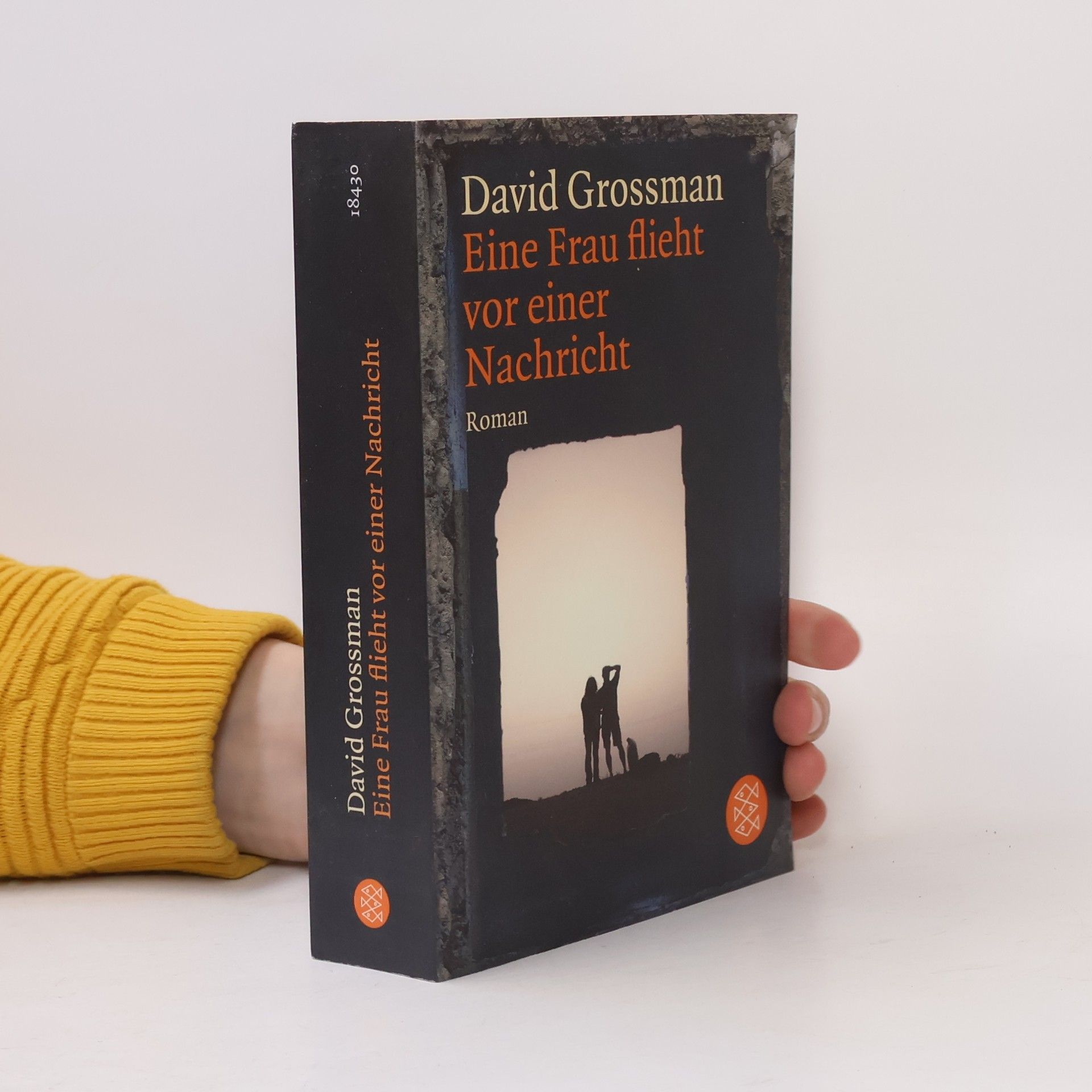 David Grossman Eine Frau flieht vor einer Nachricht