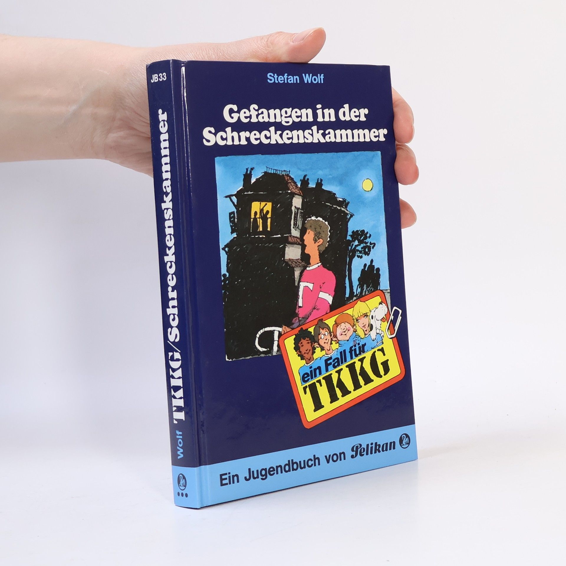 Reiner Stolte TKKG - 33: Gefangen in der Schreckenskammer