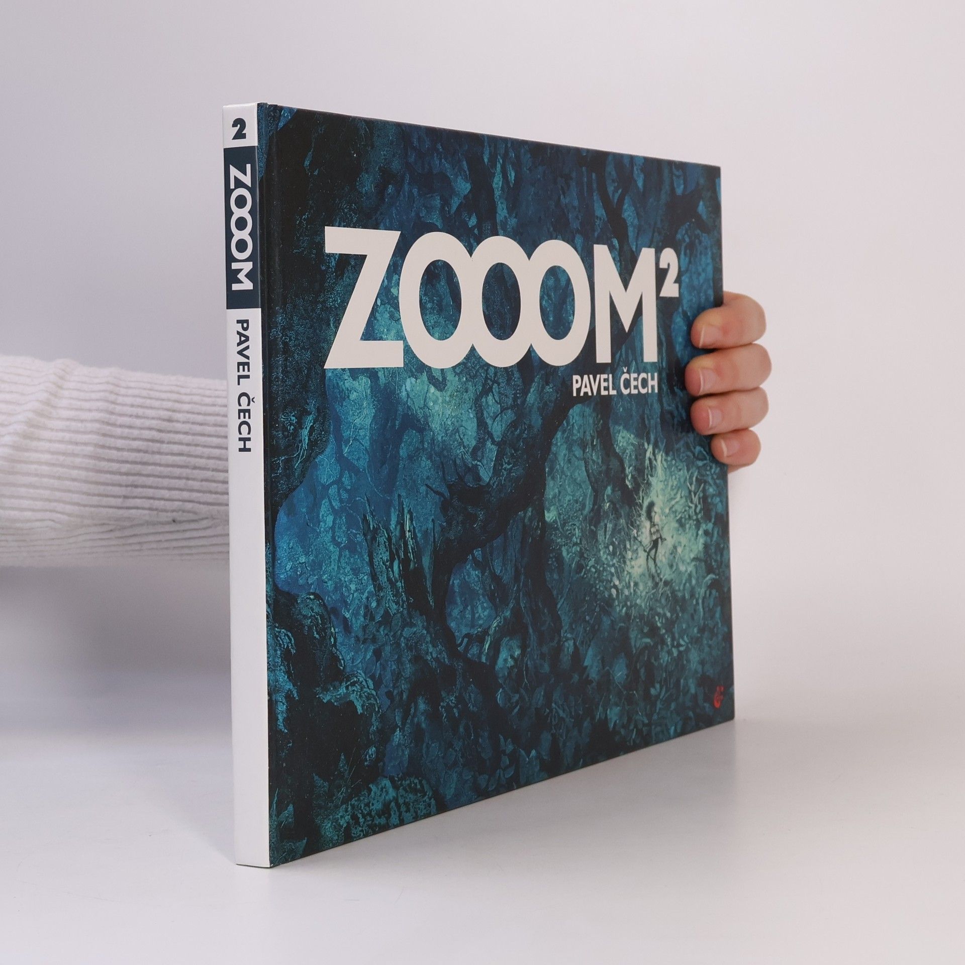 Tomáš Prokůpek ZOOOM² : [výtvarná monografie]