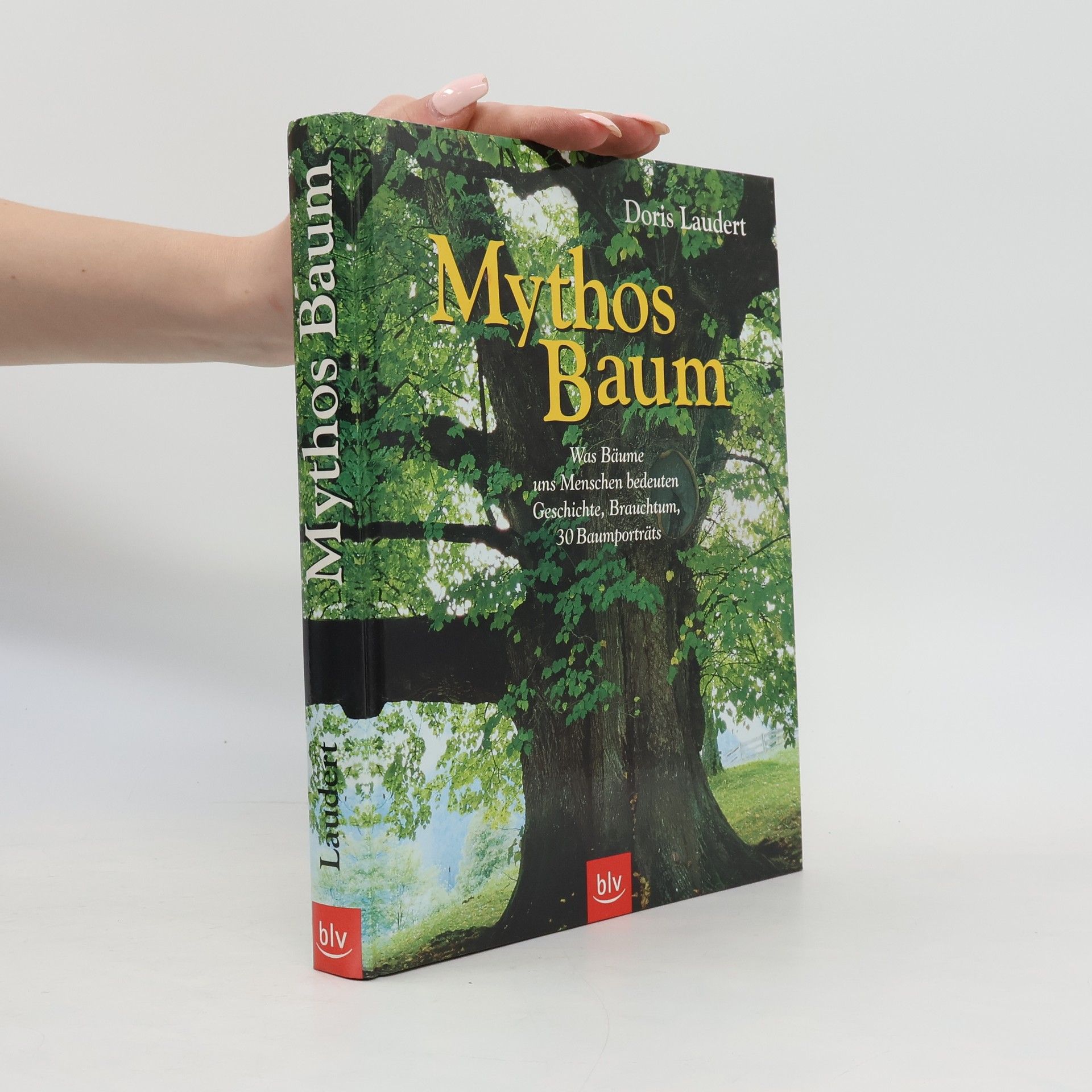 Doris Laudert Mythos Baum