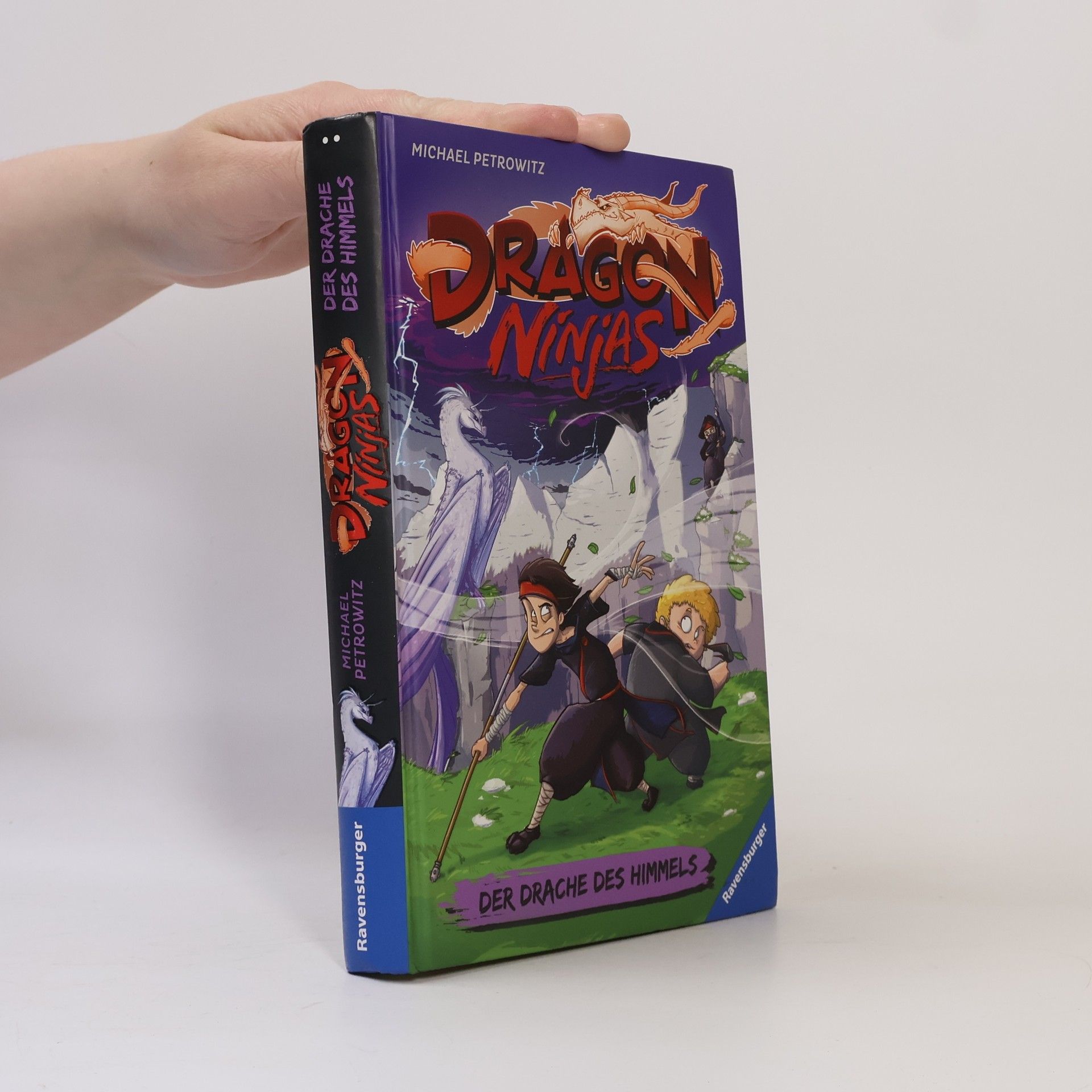 Michael Petrowitz Dragon Ninjas, Band 3: Der Drache des Himmels