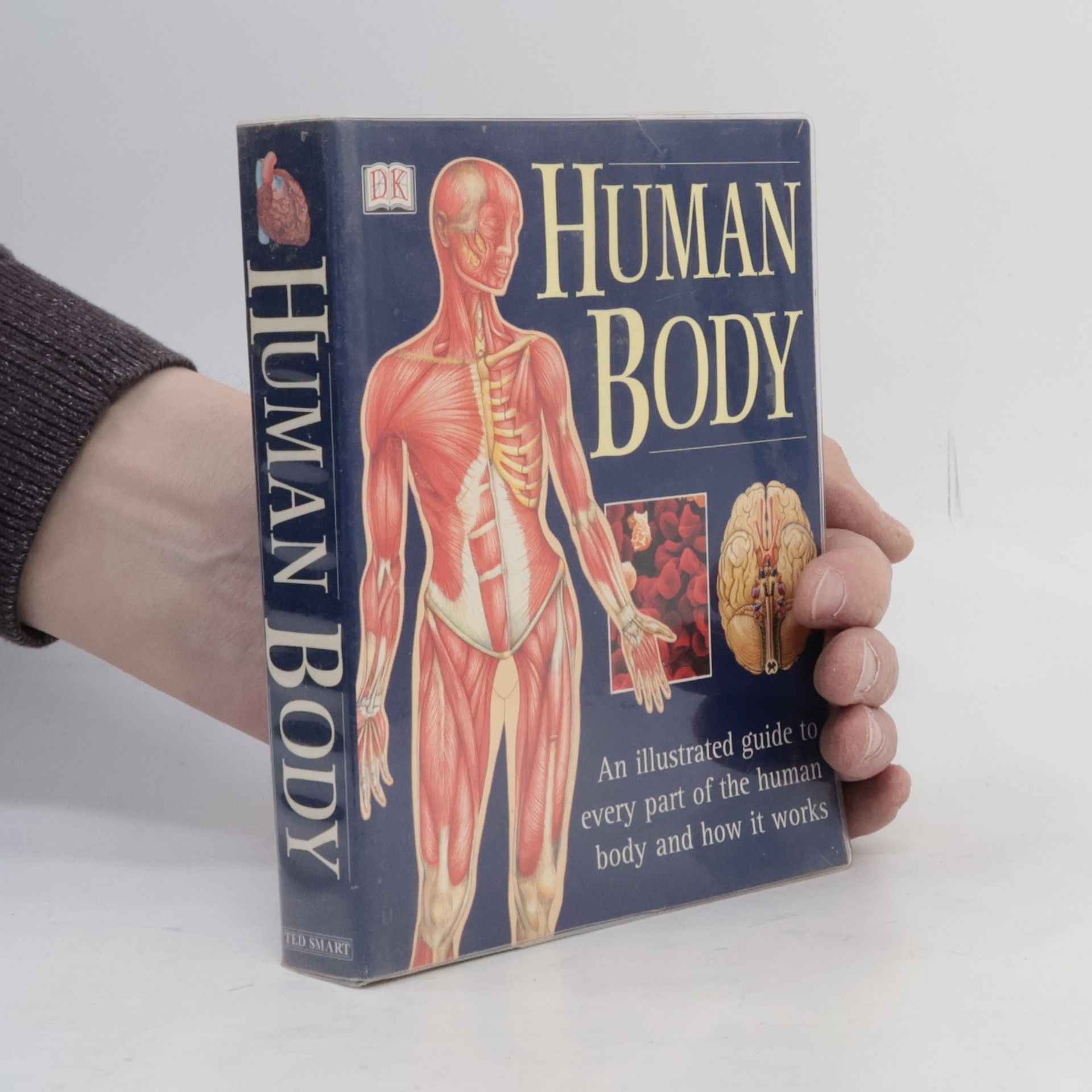 Various authors Human Body