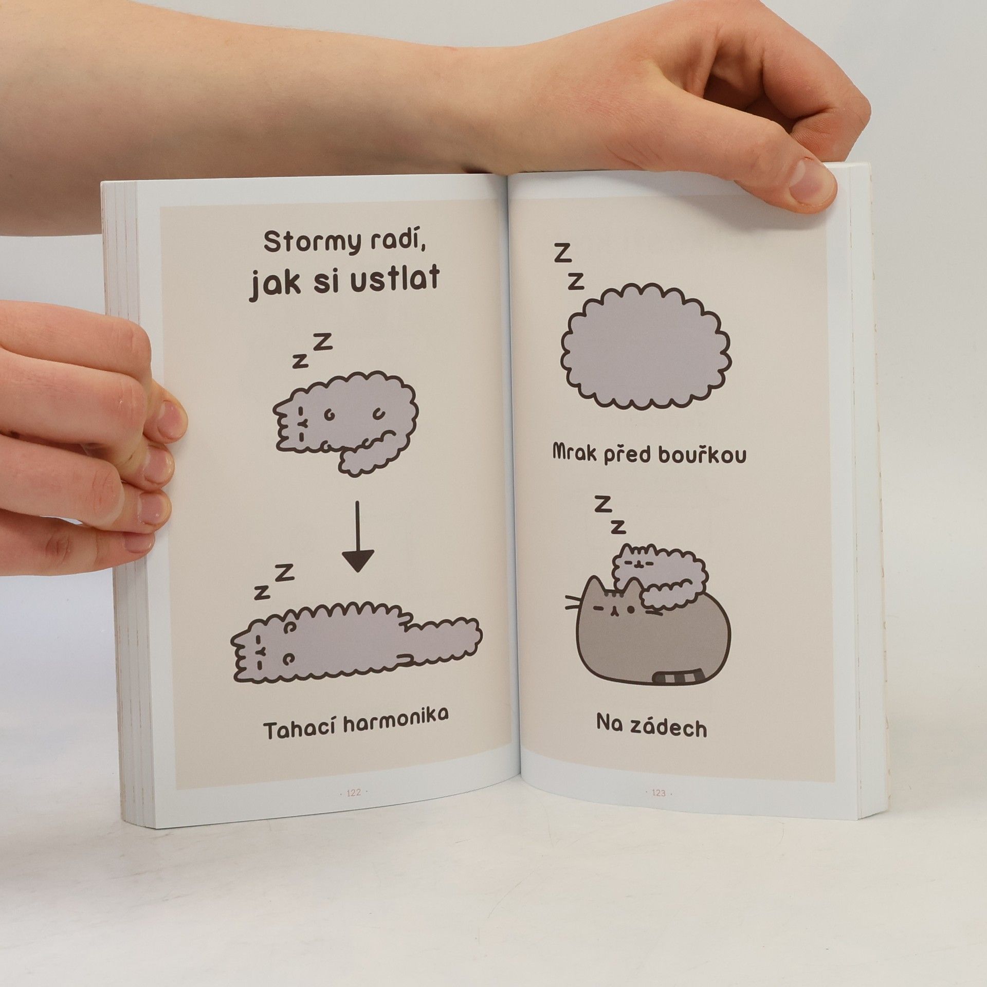 Claire Belton Pusheen. Já, košišta