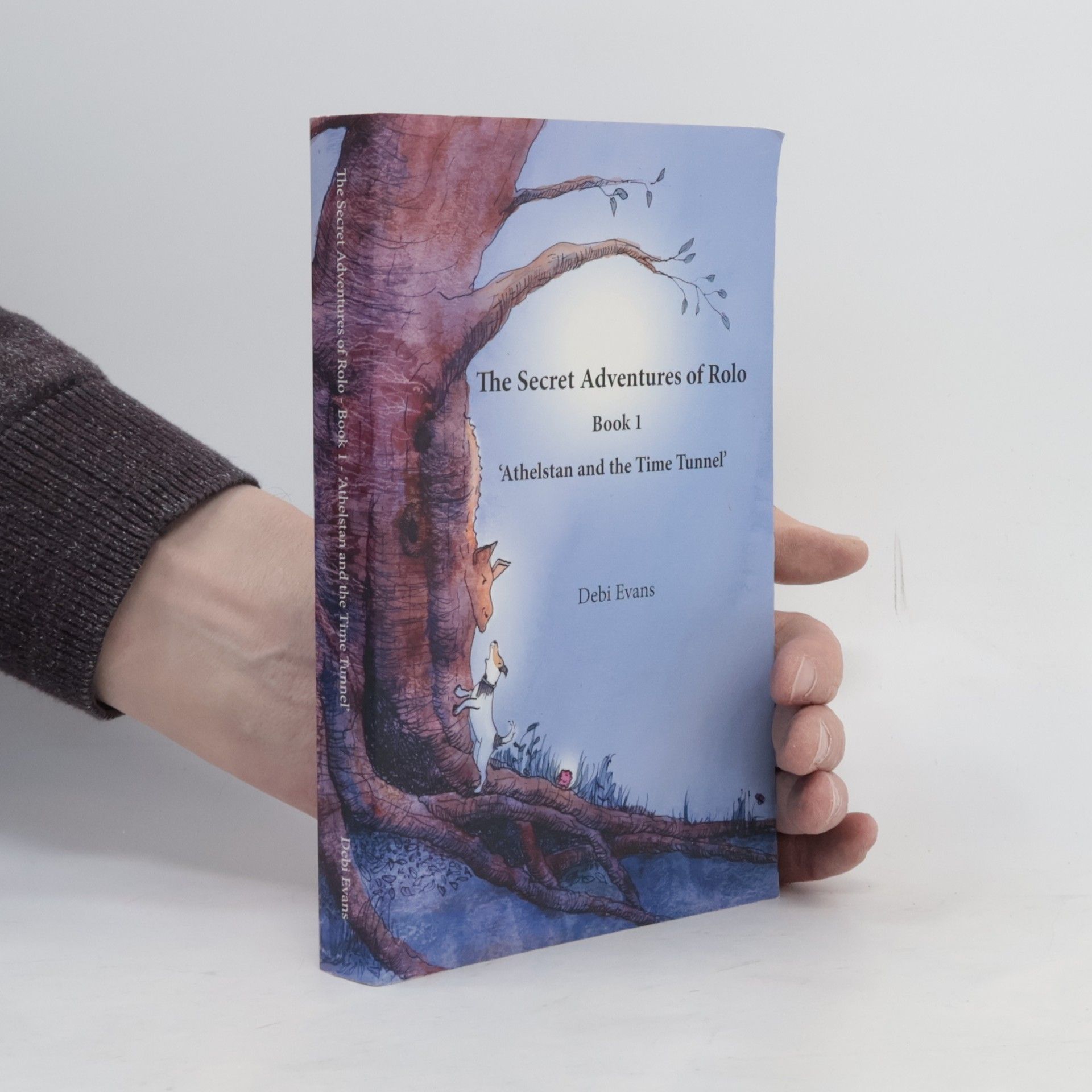 Debi Evans The Secret Adventures of Rolo - 1: Athelstan and the Time Tunnel