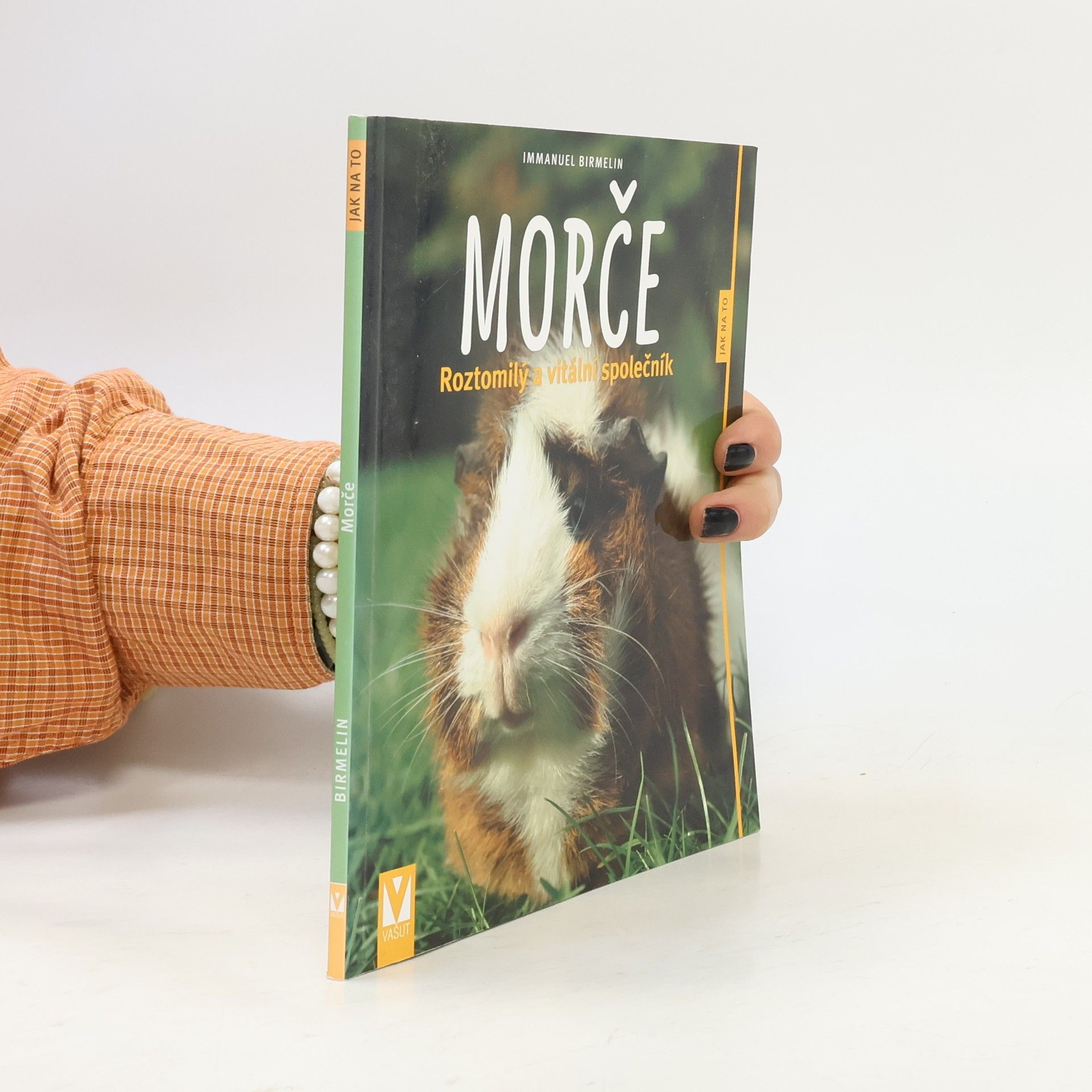 Immanuel Birmelin Morče. Roztomilý a vitální společník