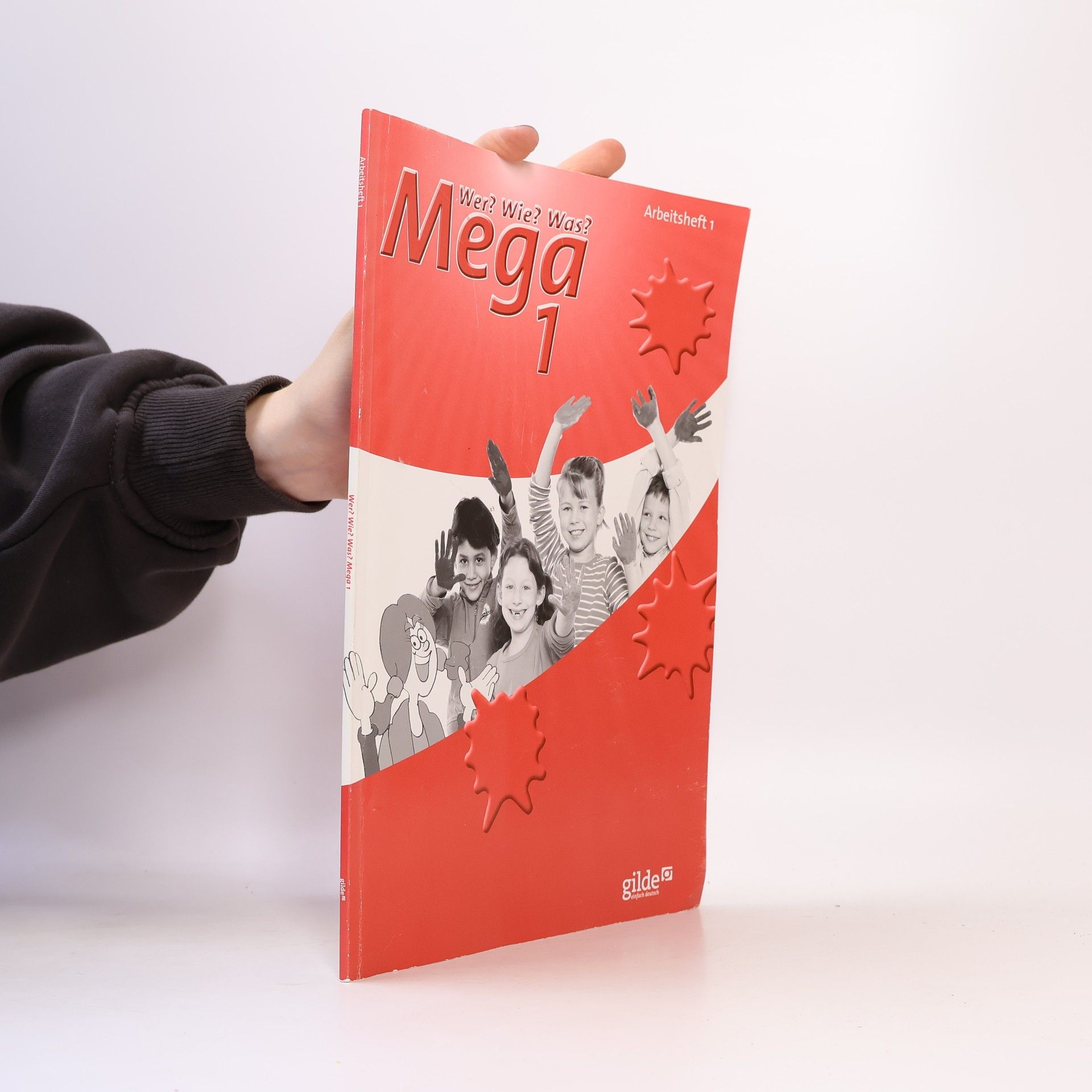 Wer? Wie? Was? - Mega - Level 1