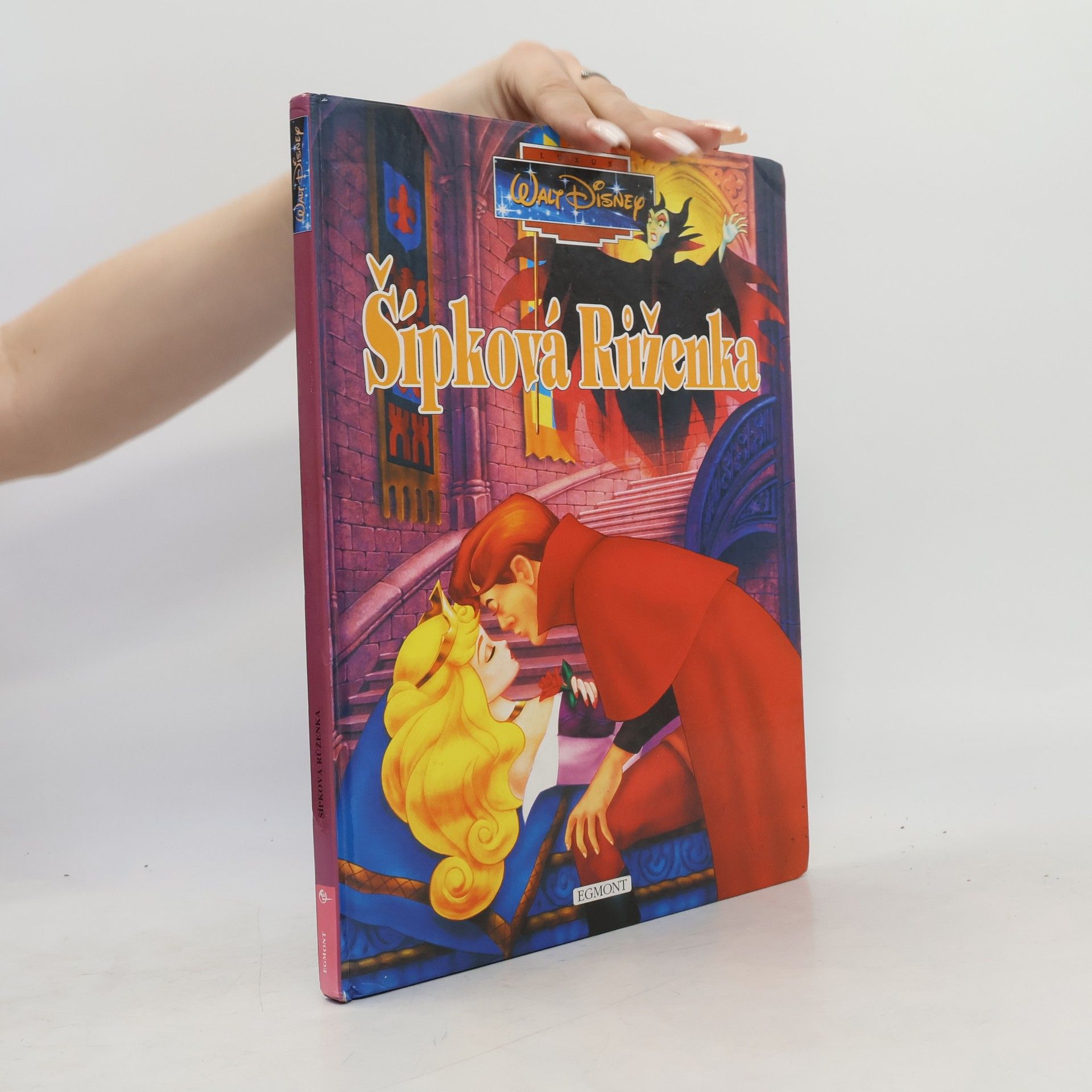 Walt Disney Šípková Růženka