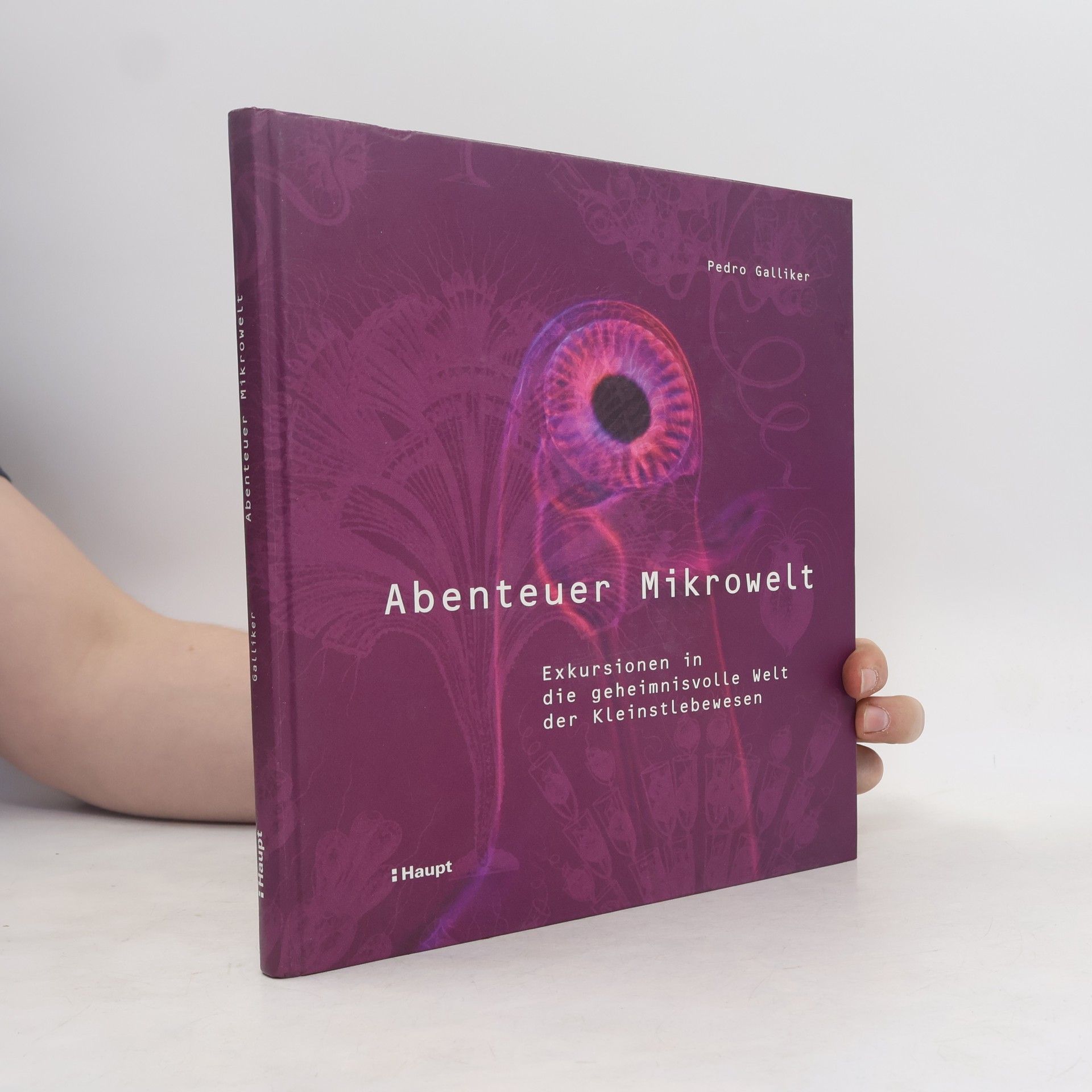Pedro Galliker Abenteuer Mikrowelt