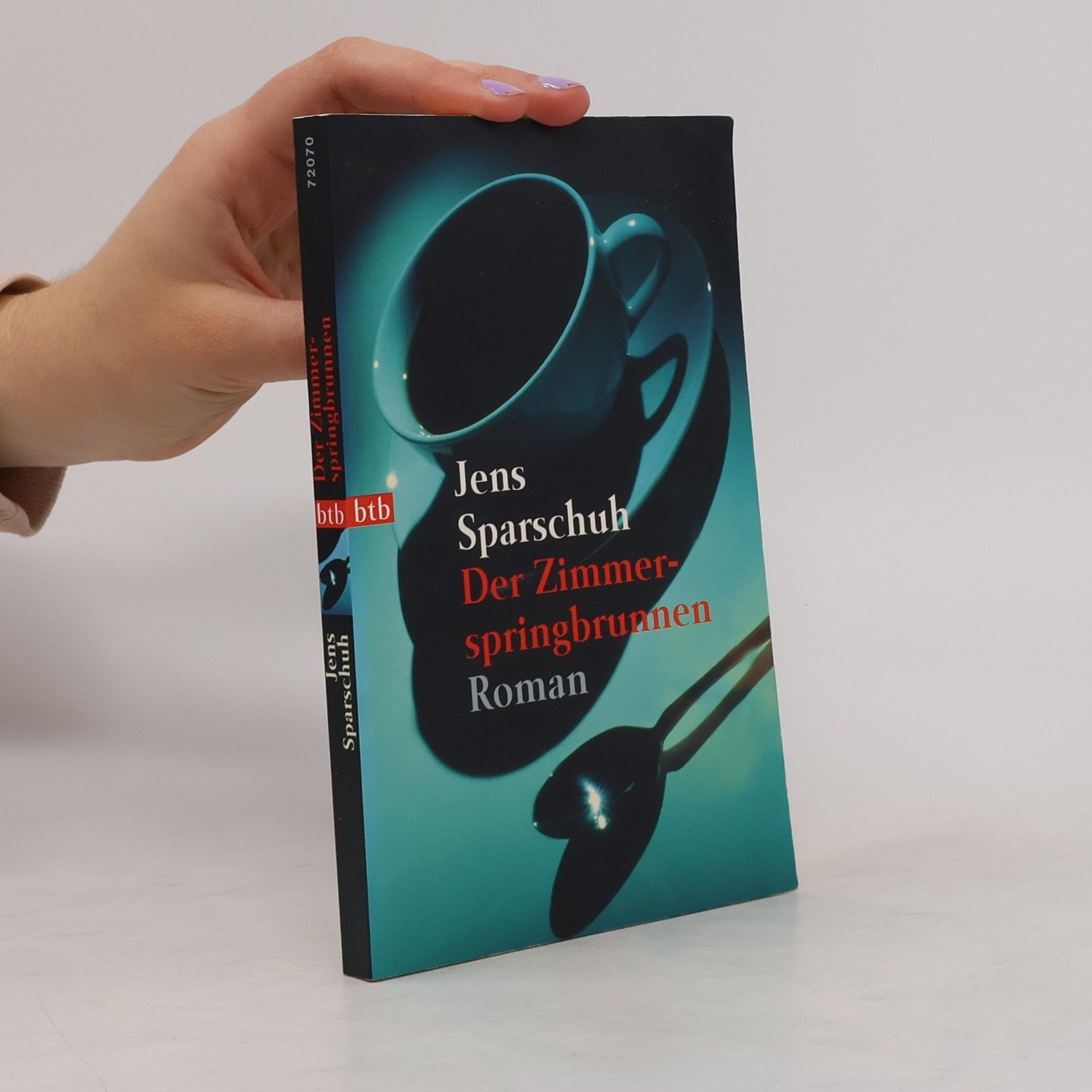 Jens Sparschuh Der Zimmerspringbrunnen