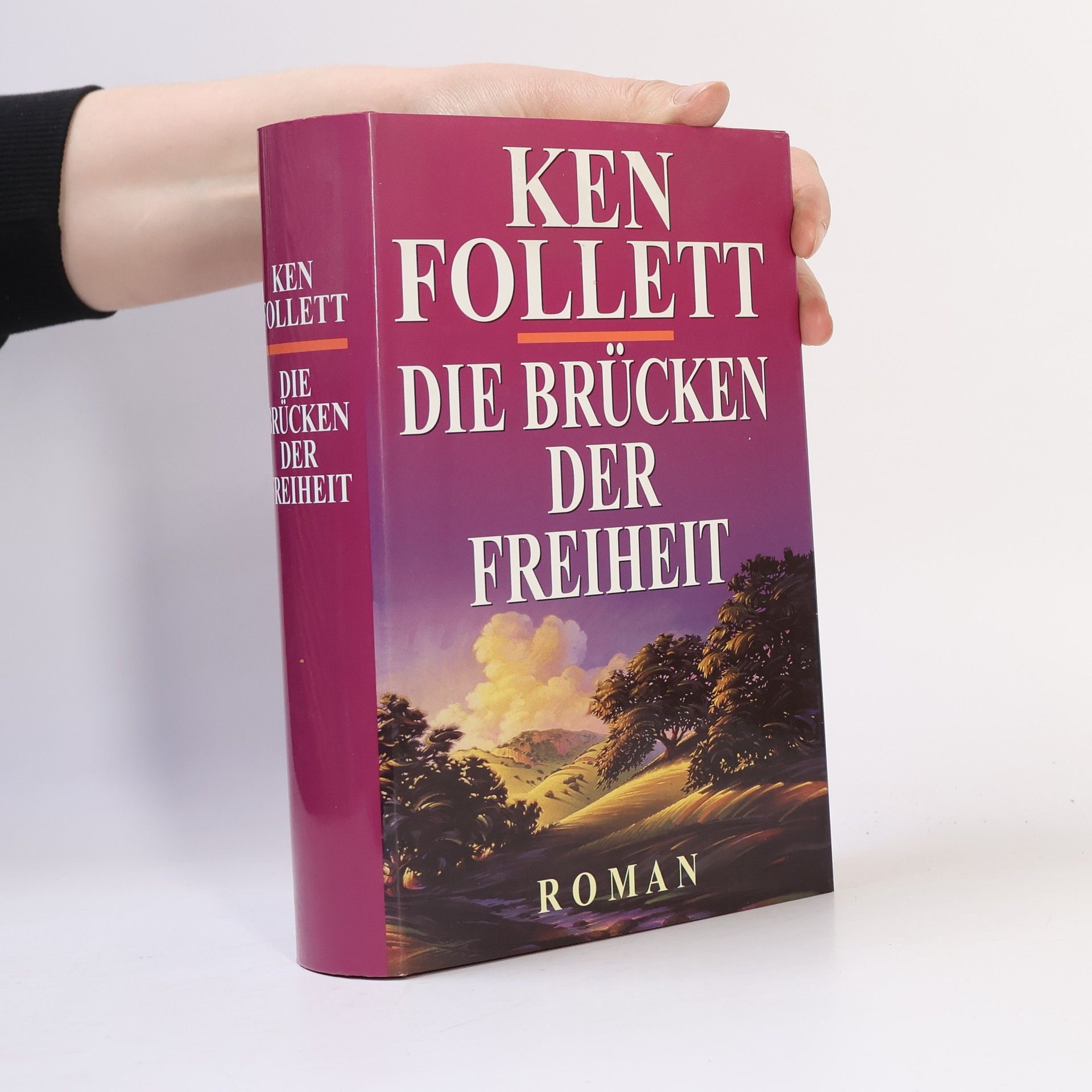 Ken Follett Die Brücken der Freiheit