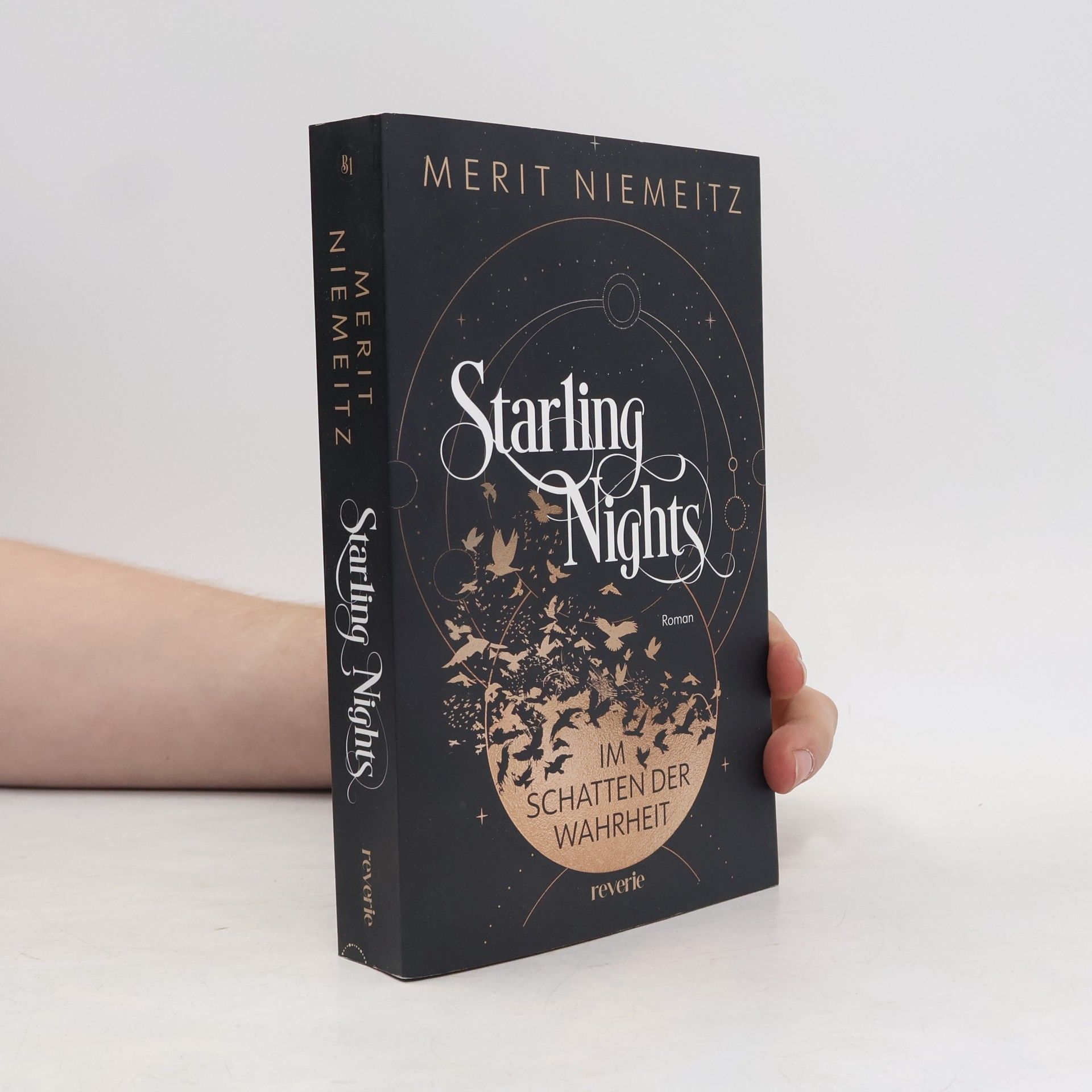 Merit Niemeitz Starling Nights 1