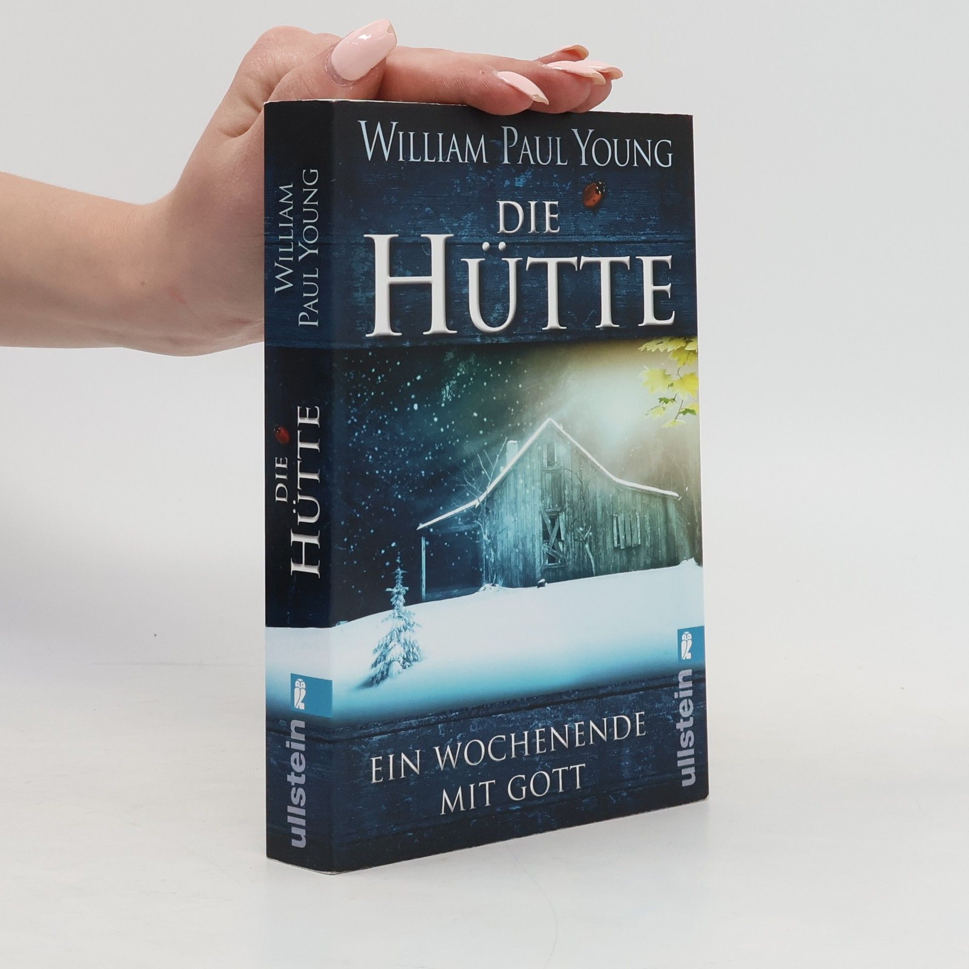 William P. Young Die Hütte