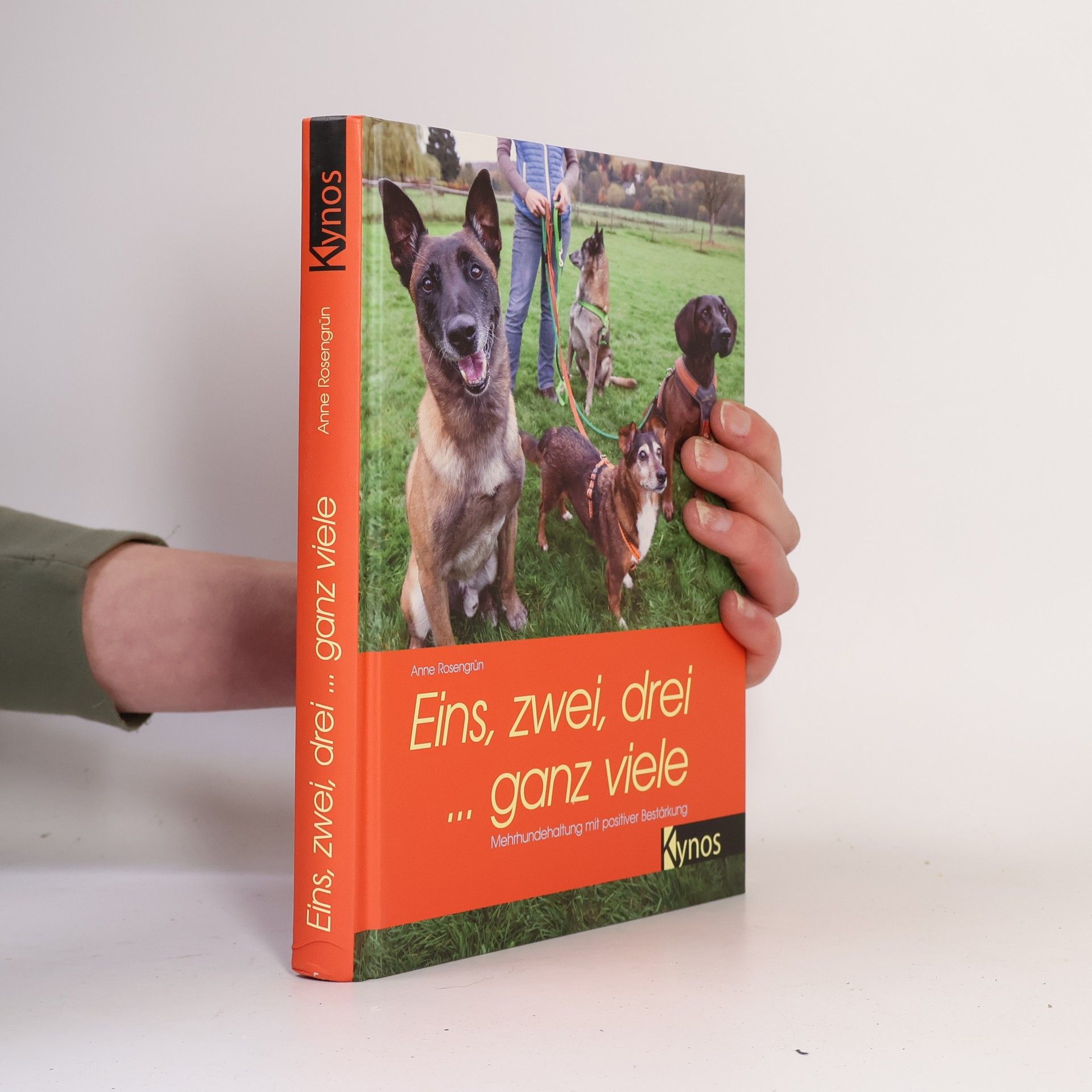 Anne Rosengrün Eins, zwei, drei ... ganz viele