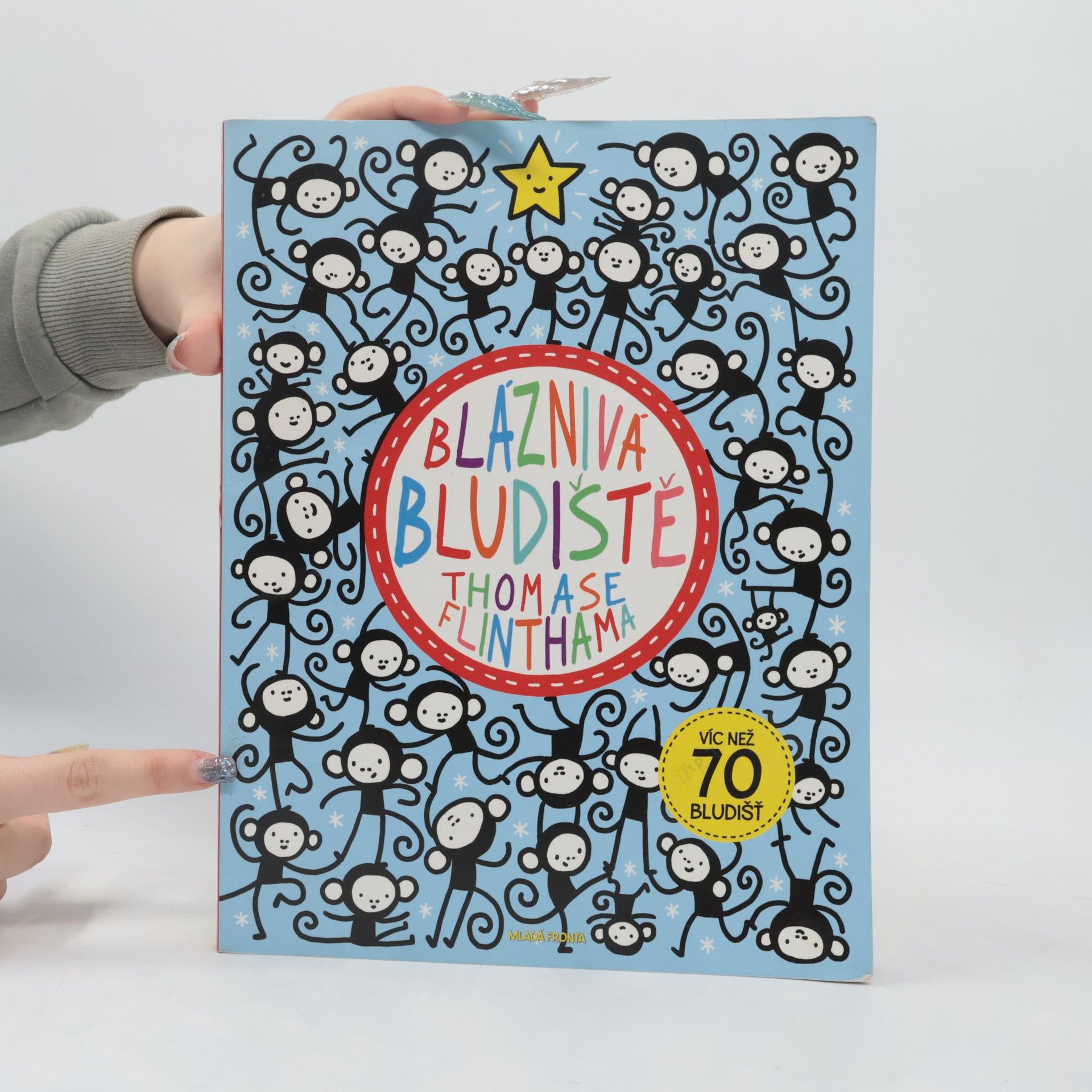 Thomas Flintham Bláznivá bludiště