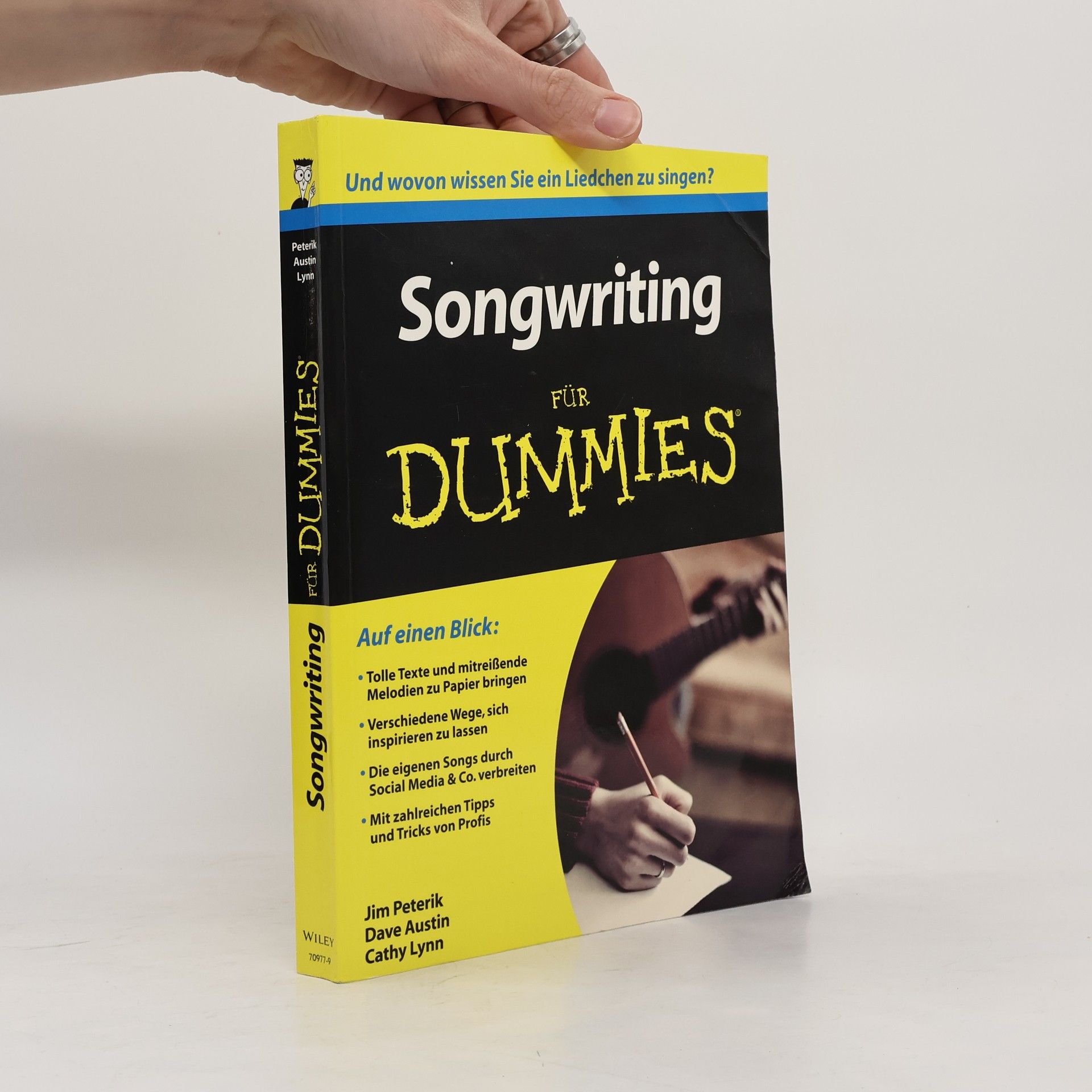Jim Peterik Songwriting für Dummies