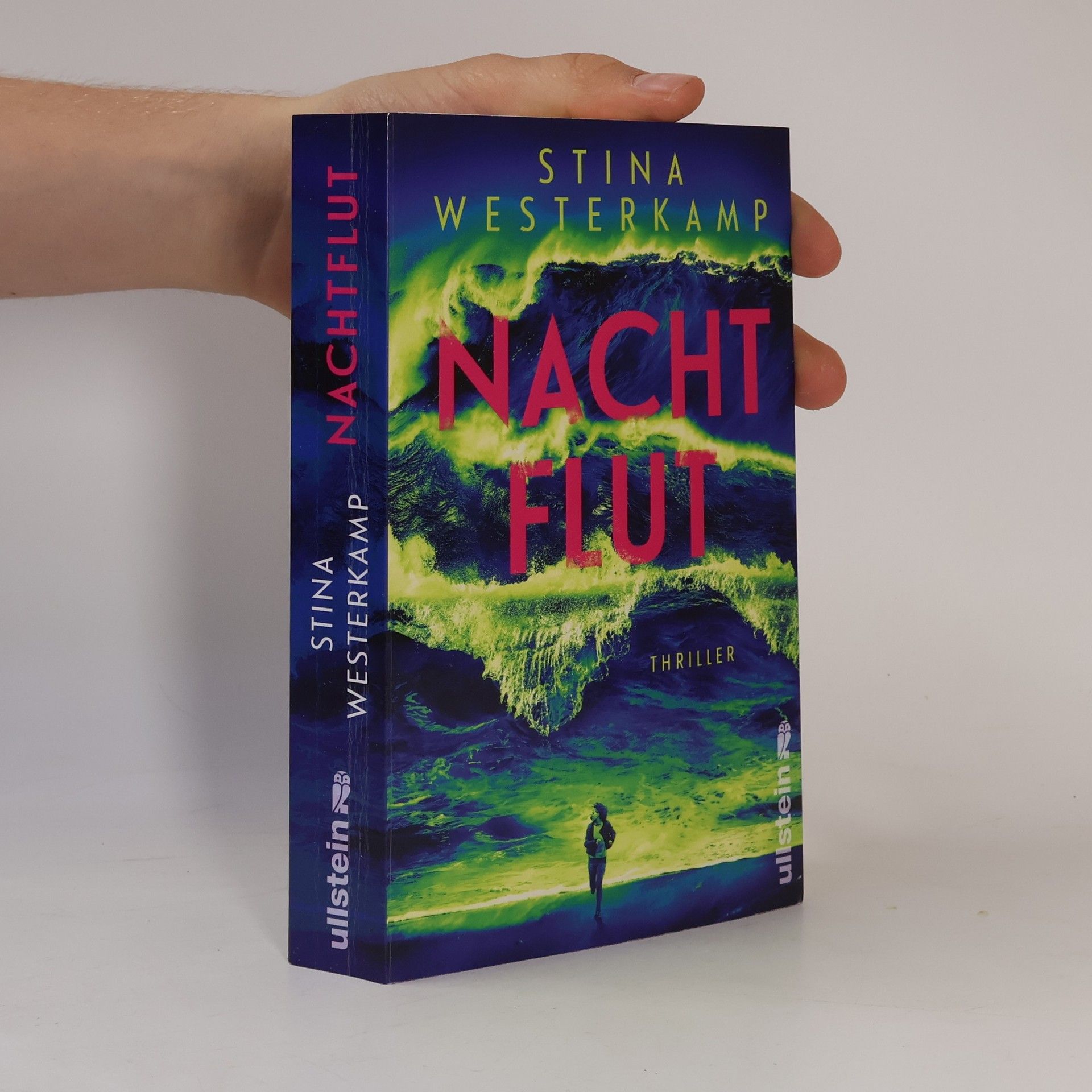 Stina Westerkamp Nachtflut
