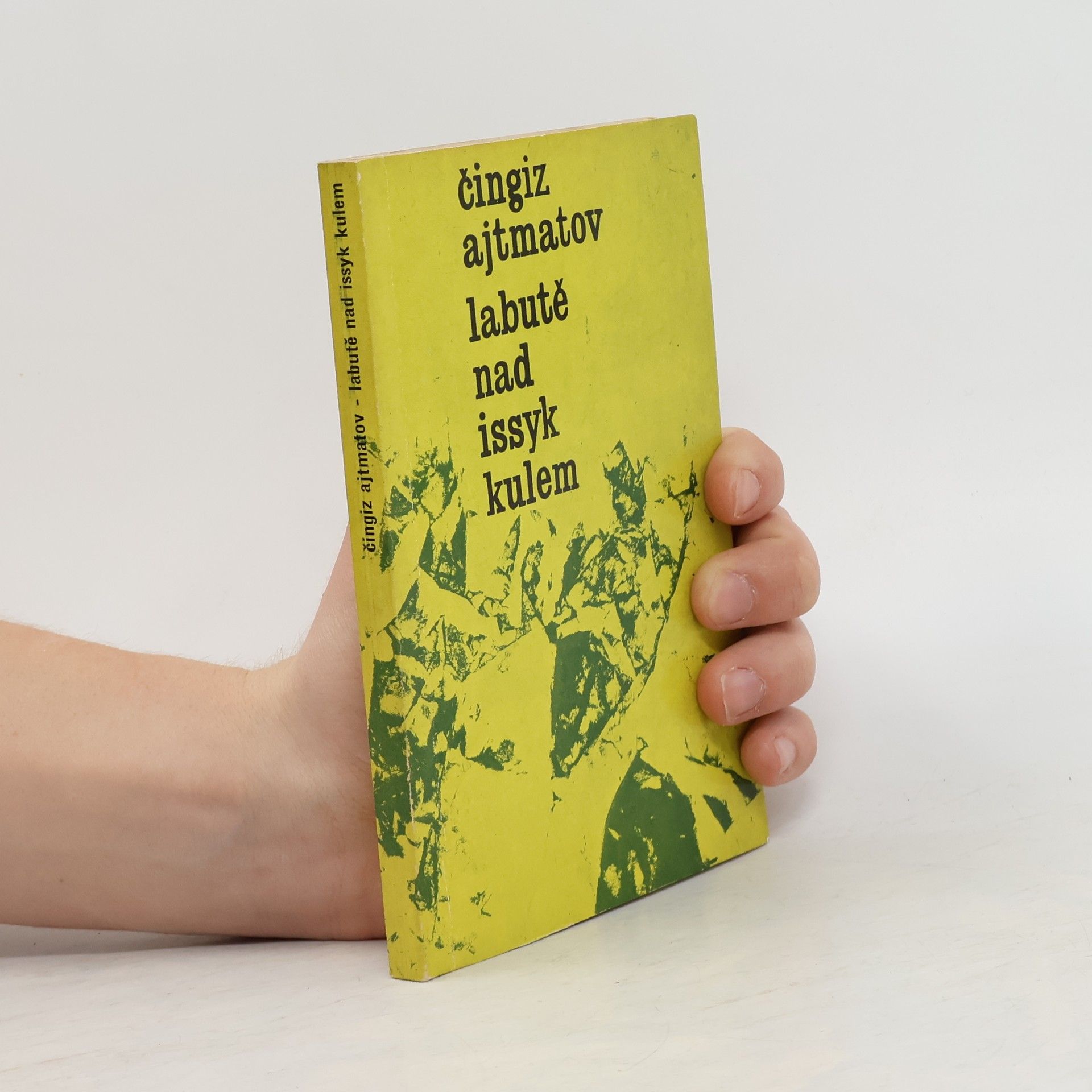 Martina Volfová Labutě nad Issyk Kulem