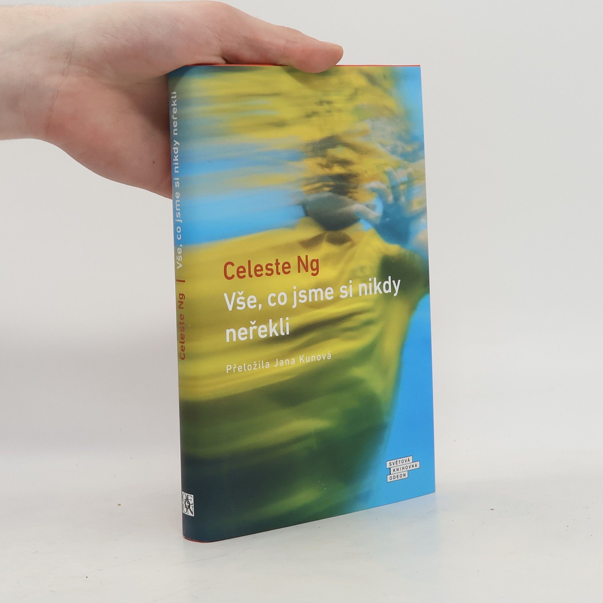 Celeste Ng Vše, co jsme si nikdy neřekli