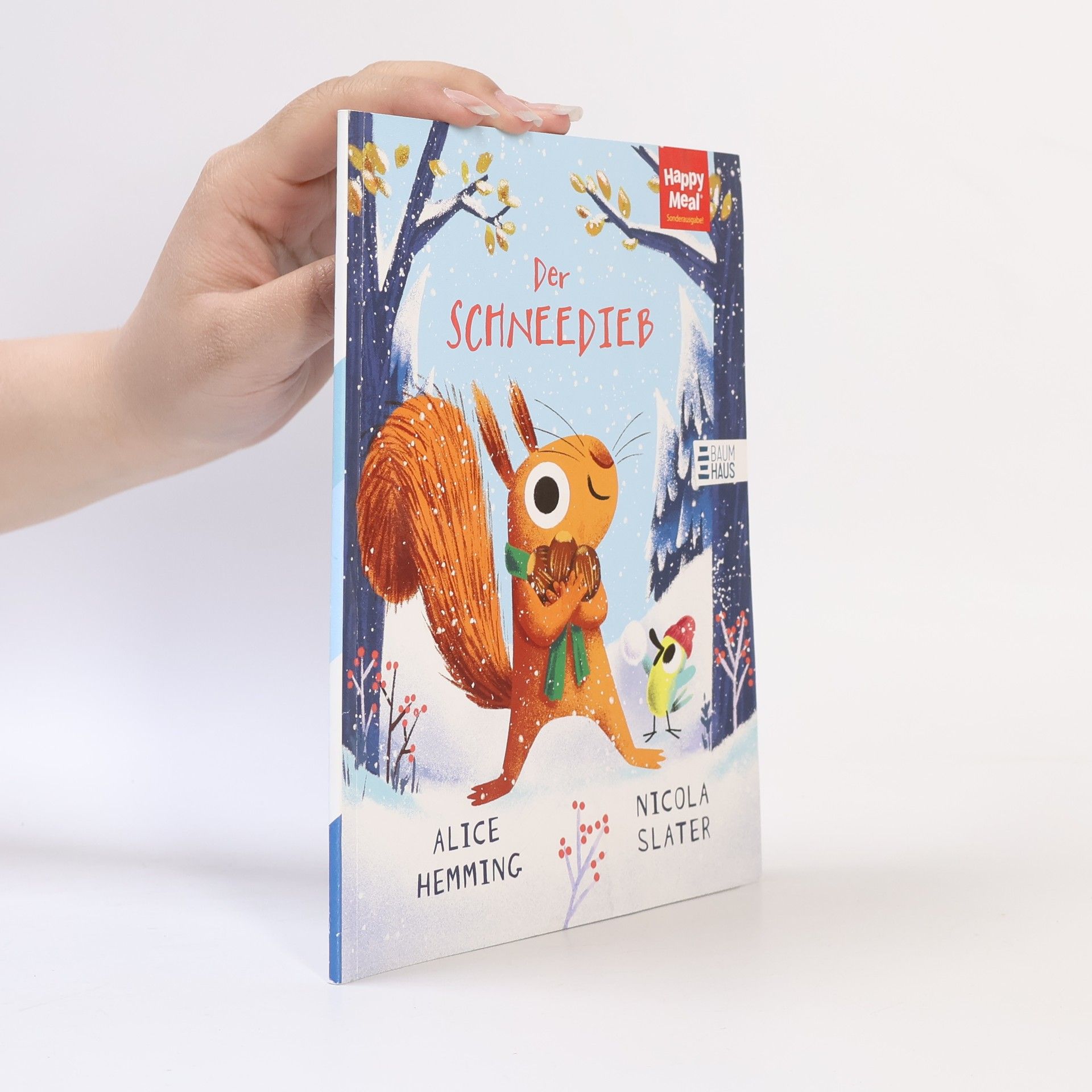 Alice Hemming Der Schneedieb