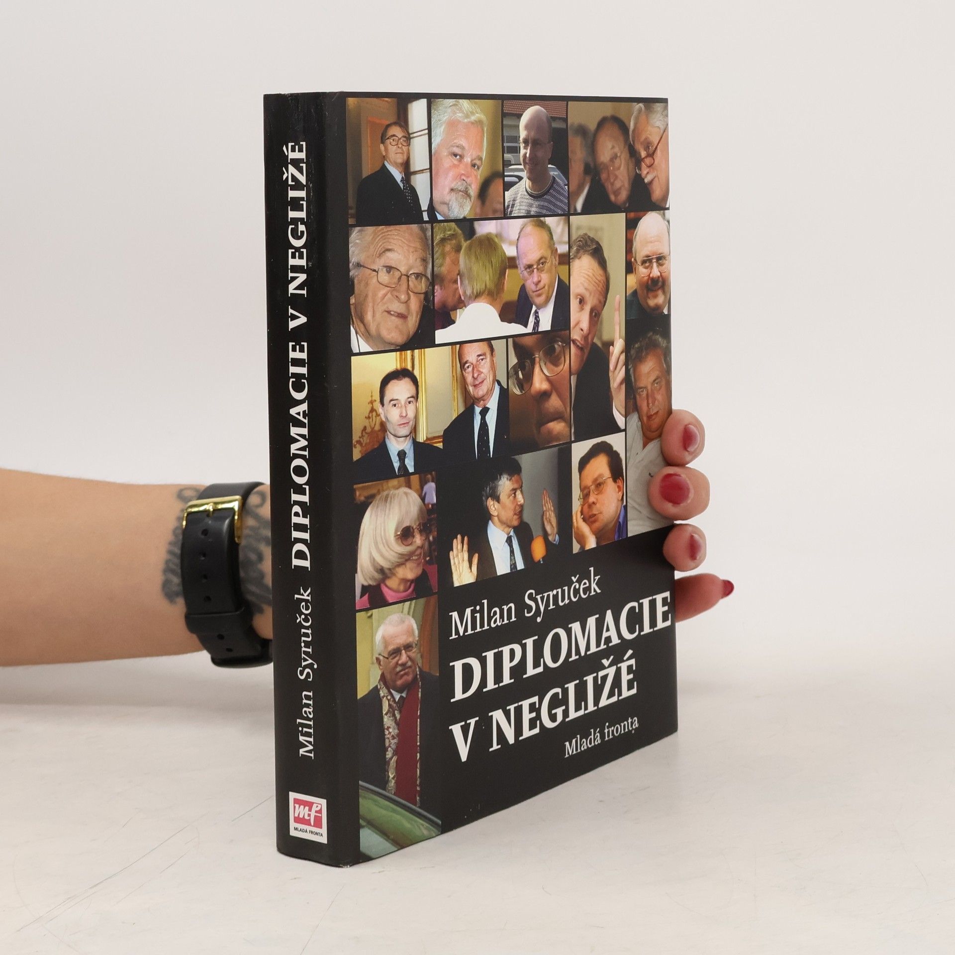 Diplomacie v negližé. Patnáct let naší zahraniční politiky