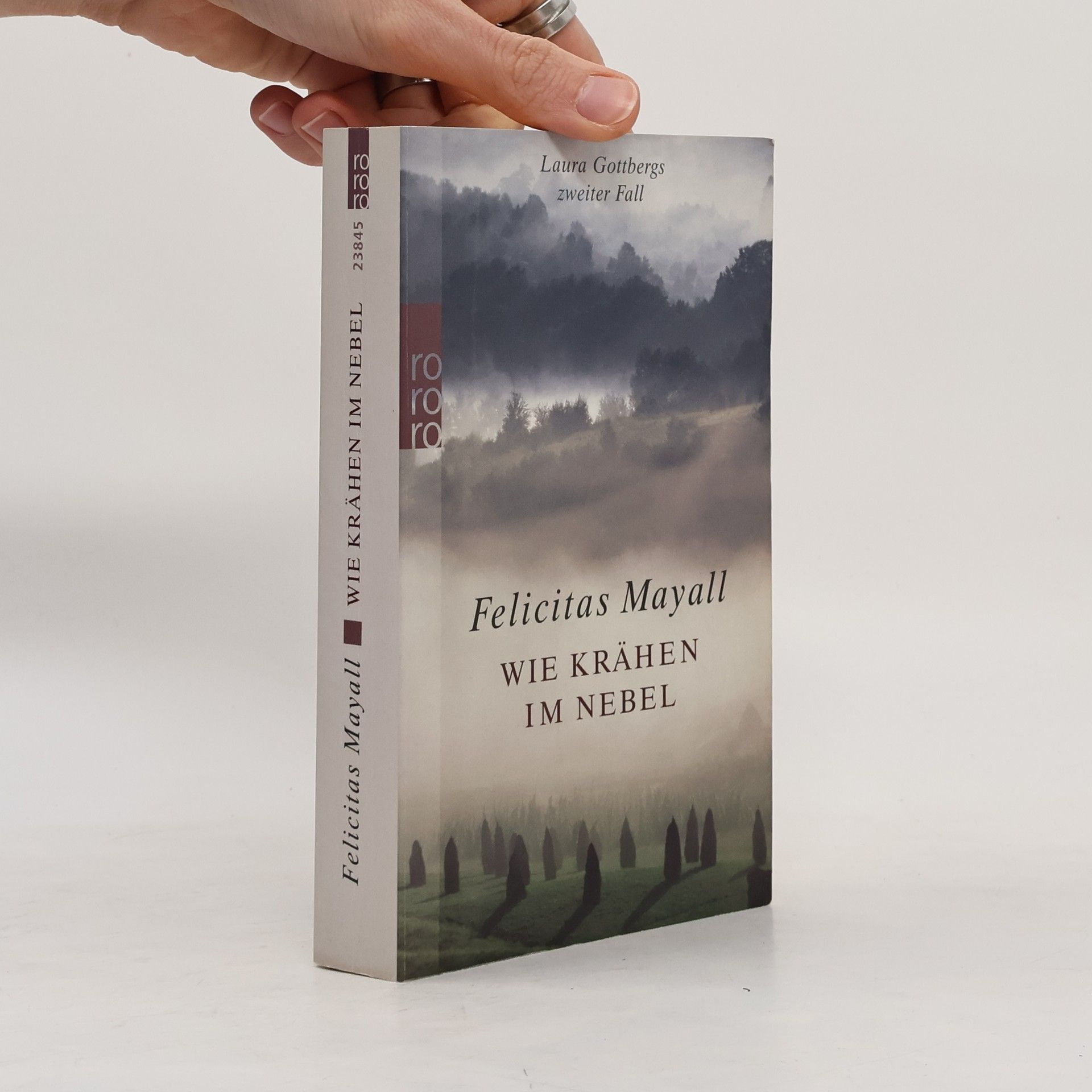 Felicitas Mayall Wie Krähen im Nebel