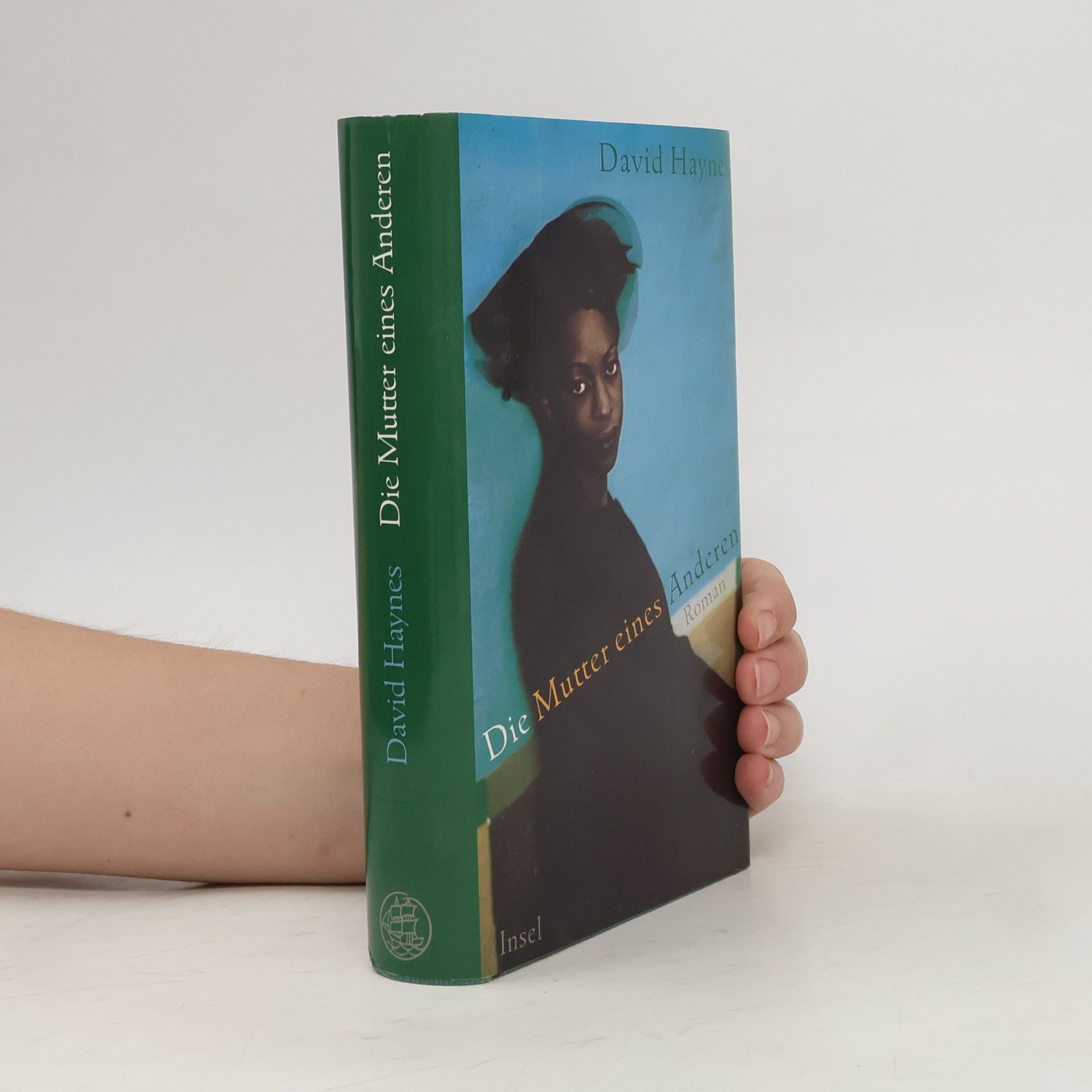 David Haynes Die Mutter eines Anderen