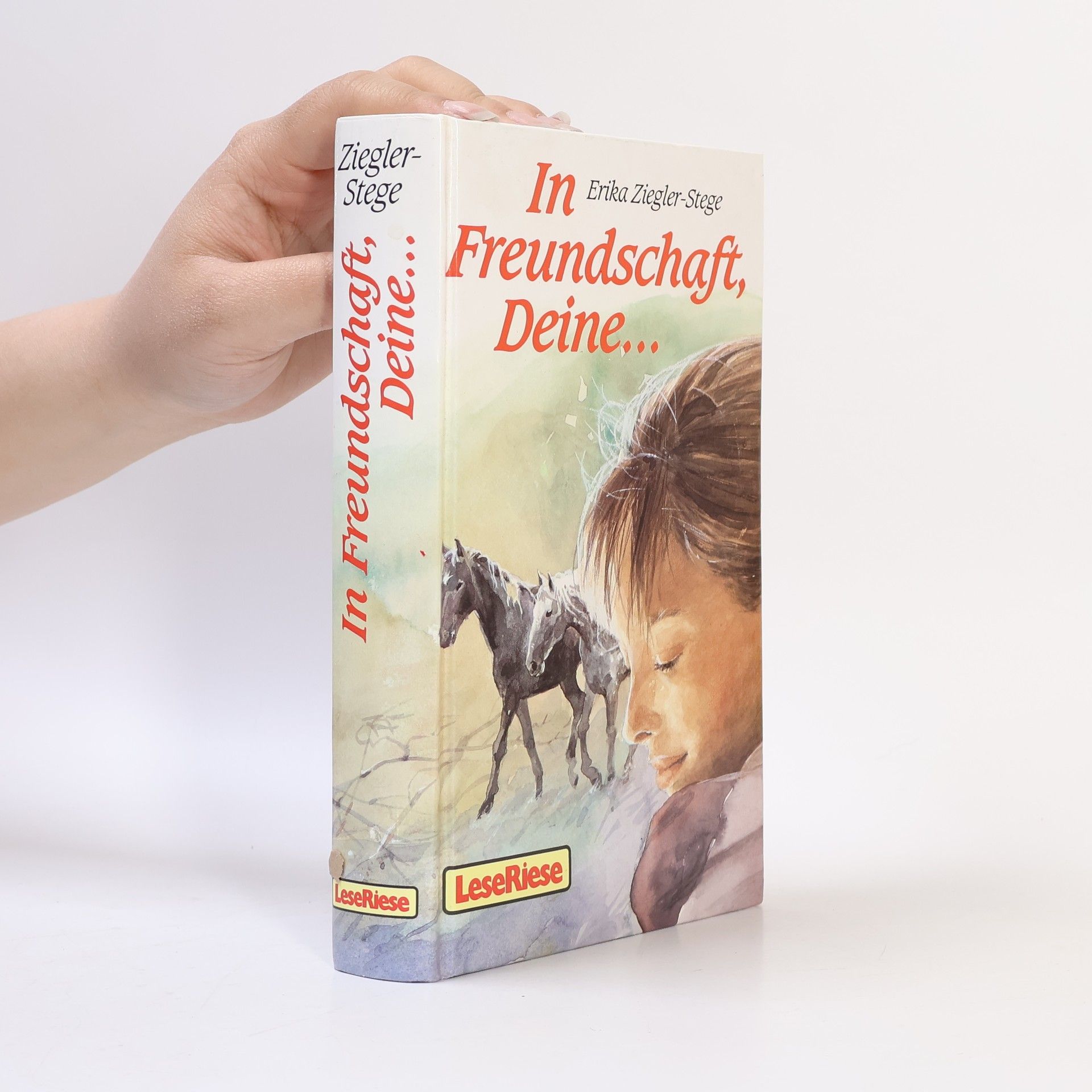 In Freundschaft, Deine ...