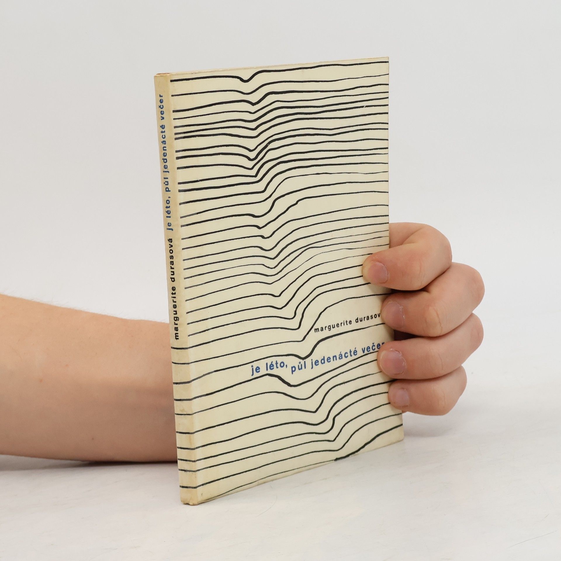 Marguerite Duras Je léto, půl jedenácté večer