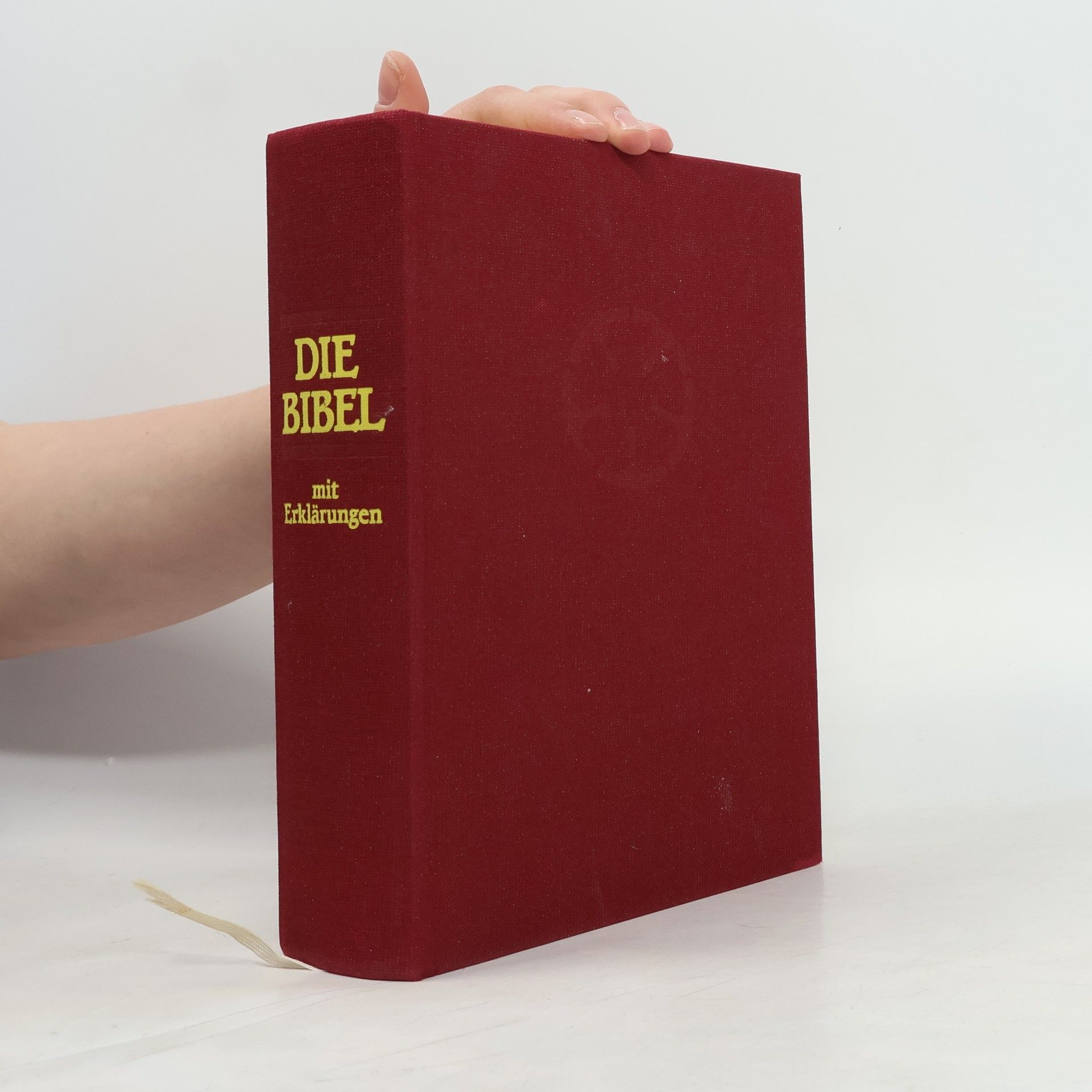 Martin Luther Die Bibel mit Erklärungen