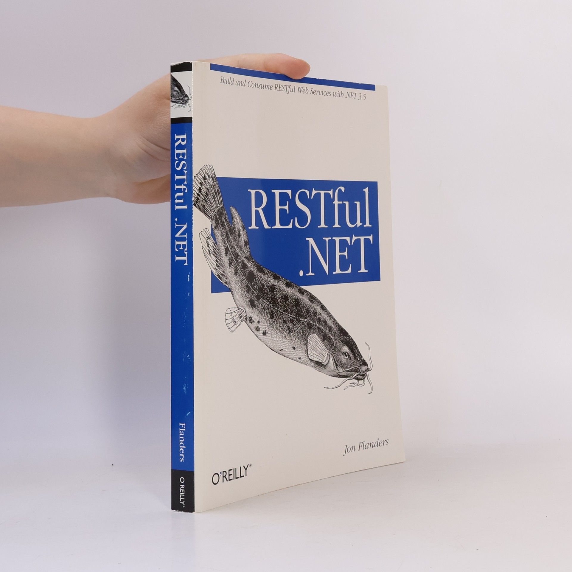 Jon Flanders RESTful .NET