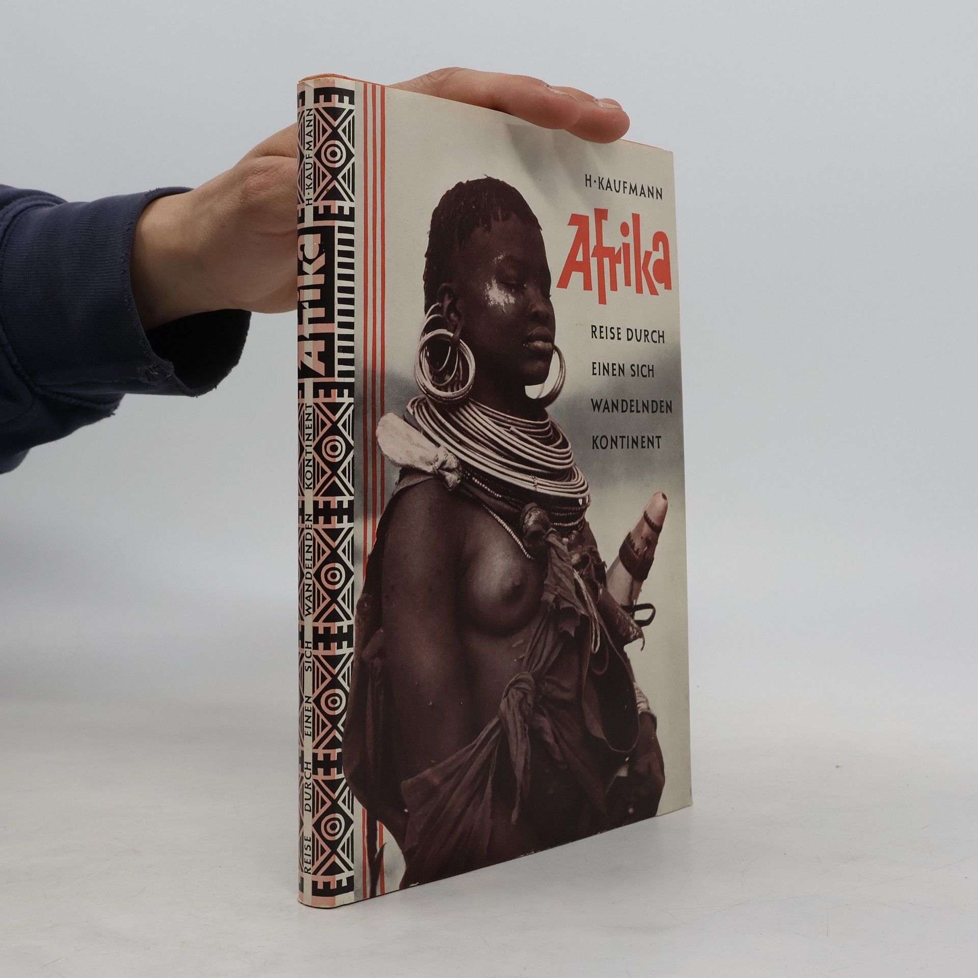H. Kaufmann Afrika. Reise durch einen sich wandelnden Kontinent