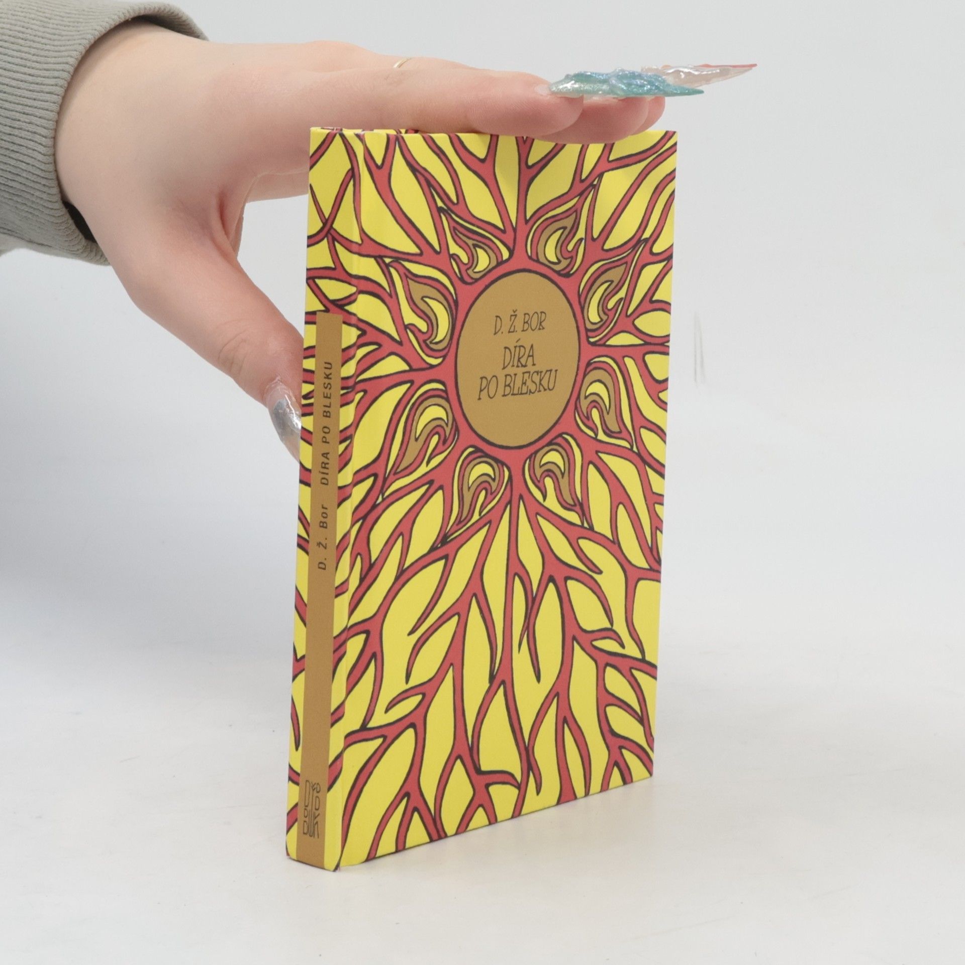 D. Ž. Bor Díra po blesku