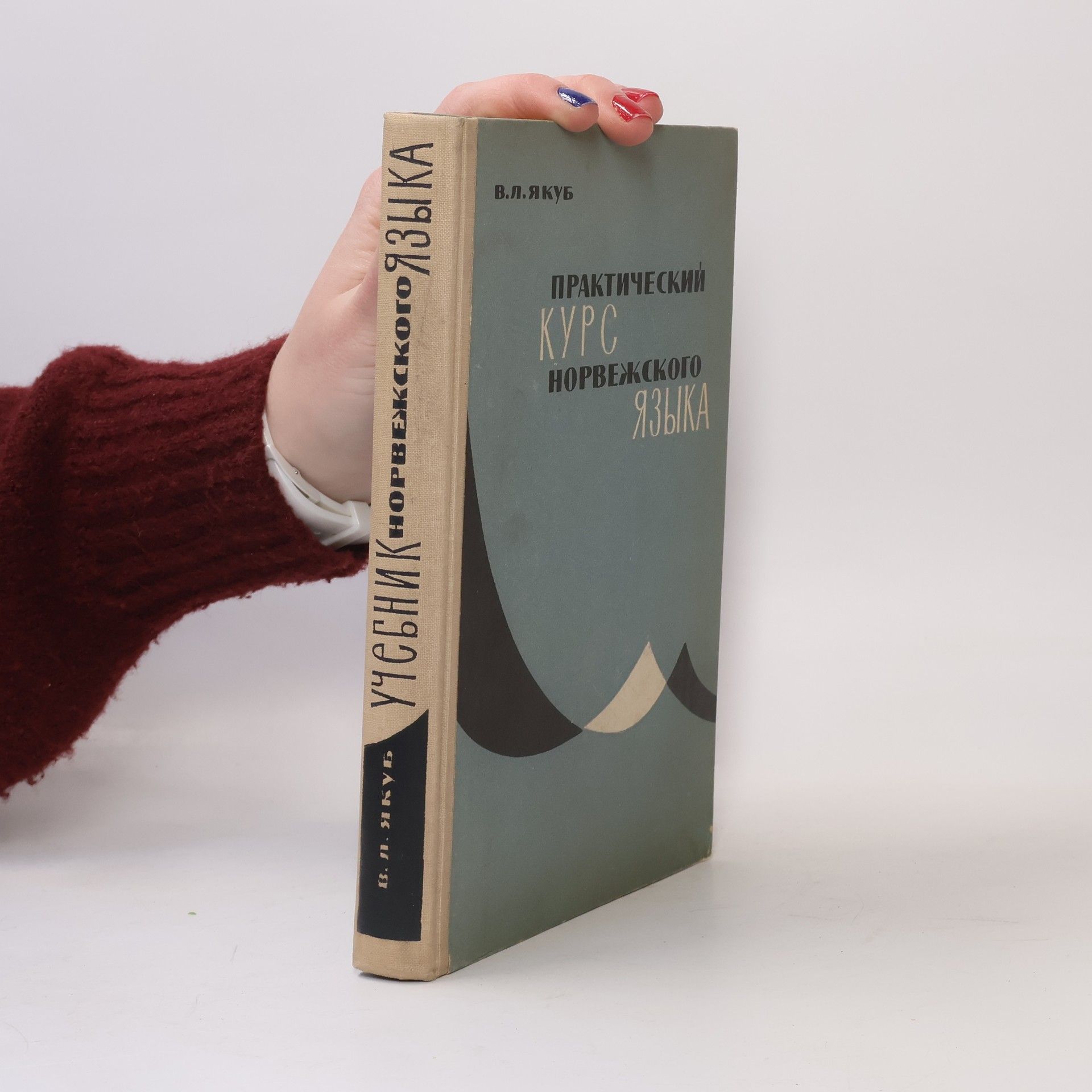 V. L. Yakub Практический курс норвежского языка