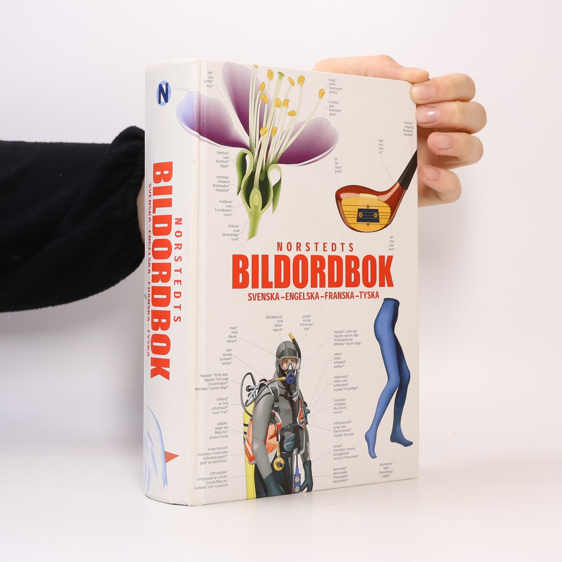 Anders Odeldahl Norstedts Bildordbok