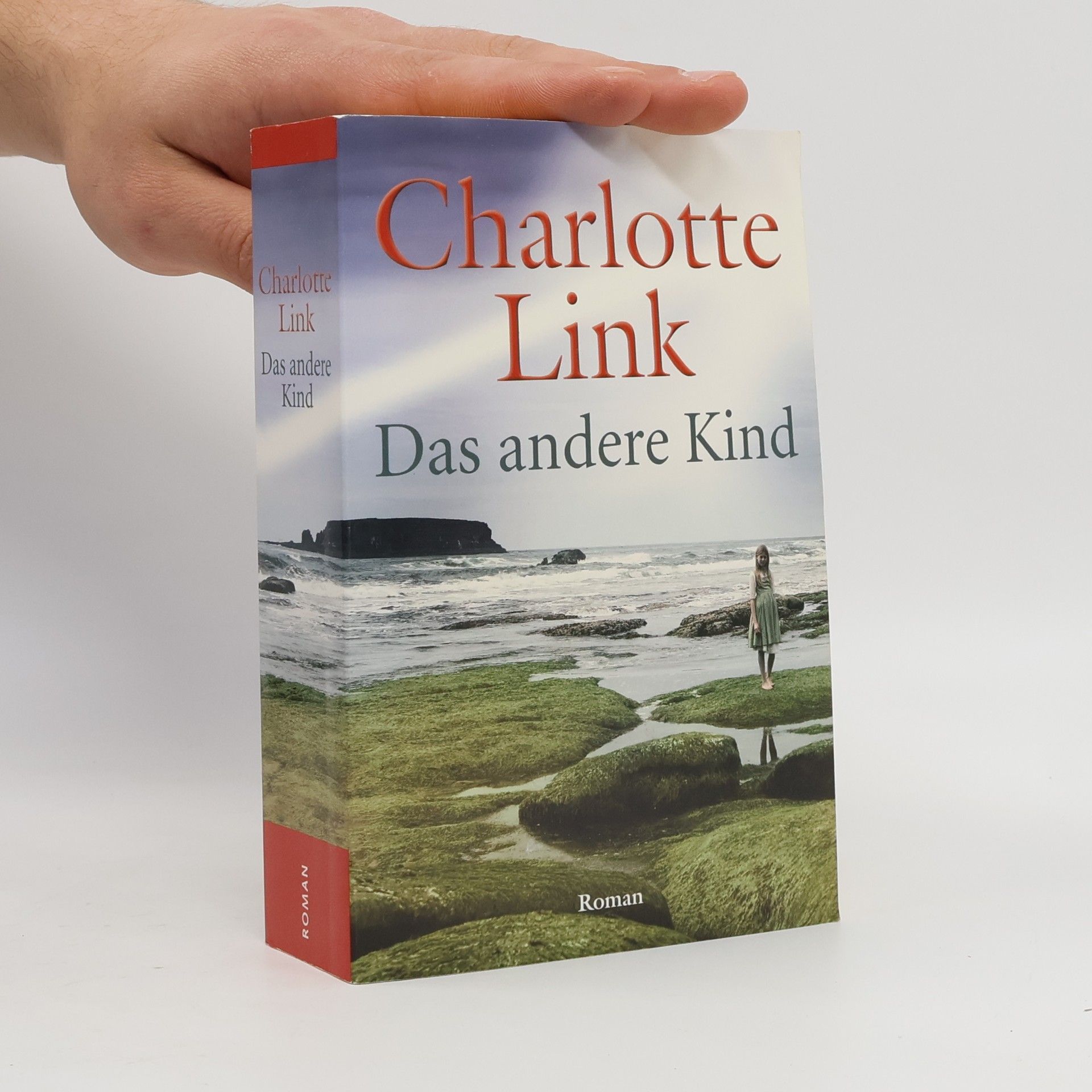 Charlotte Link Das andere Kind