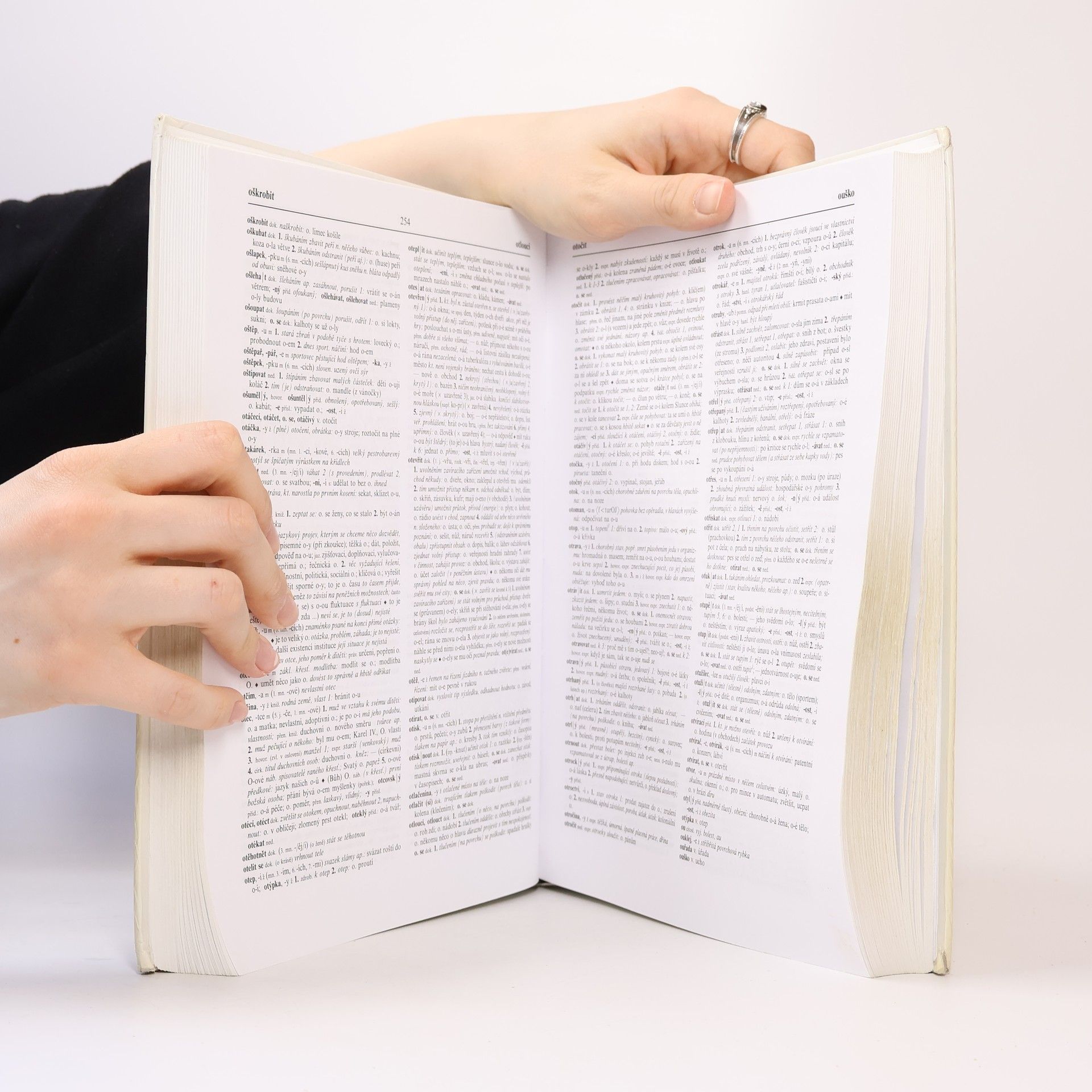Autores varios Slovník spisovné češtiny pro školu a veřejnost