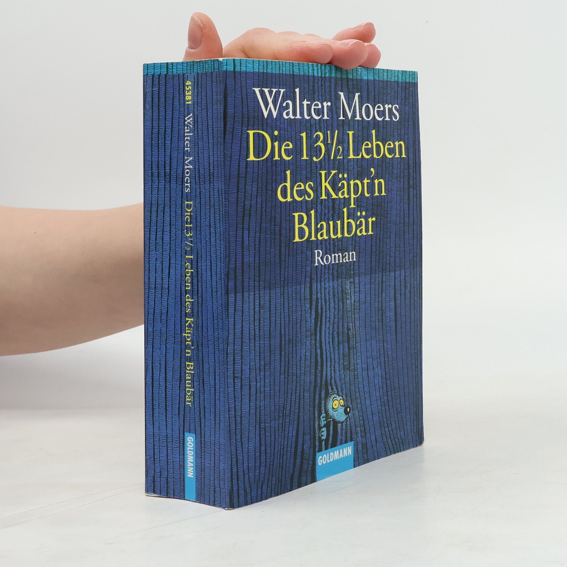 Walter Moers Die 13 1/2 Leben des Käpt'n Blaubär