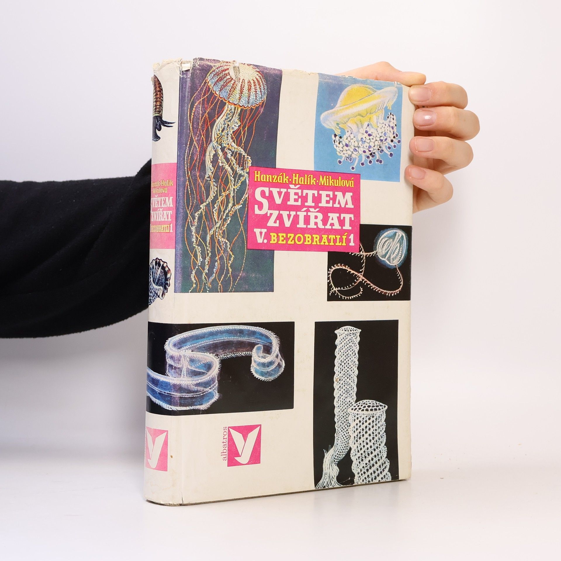 Marie Mikulová Světem zvířat V. Bezobratlí 1