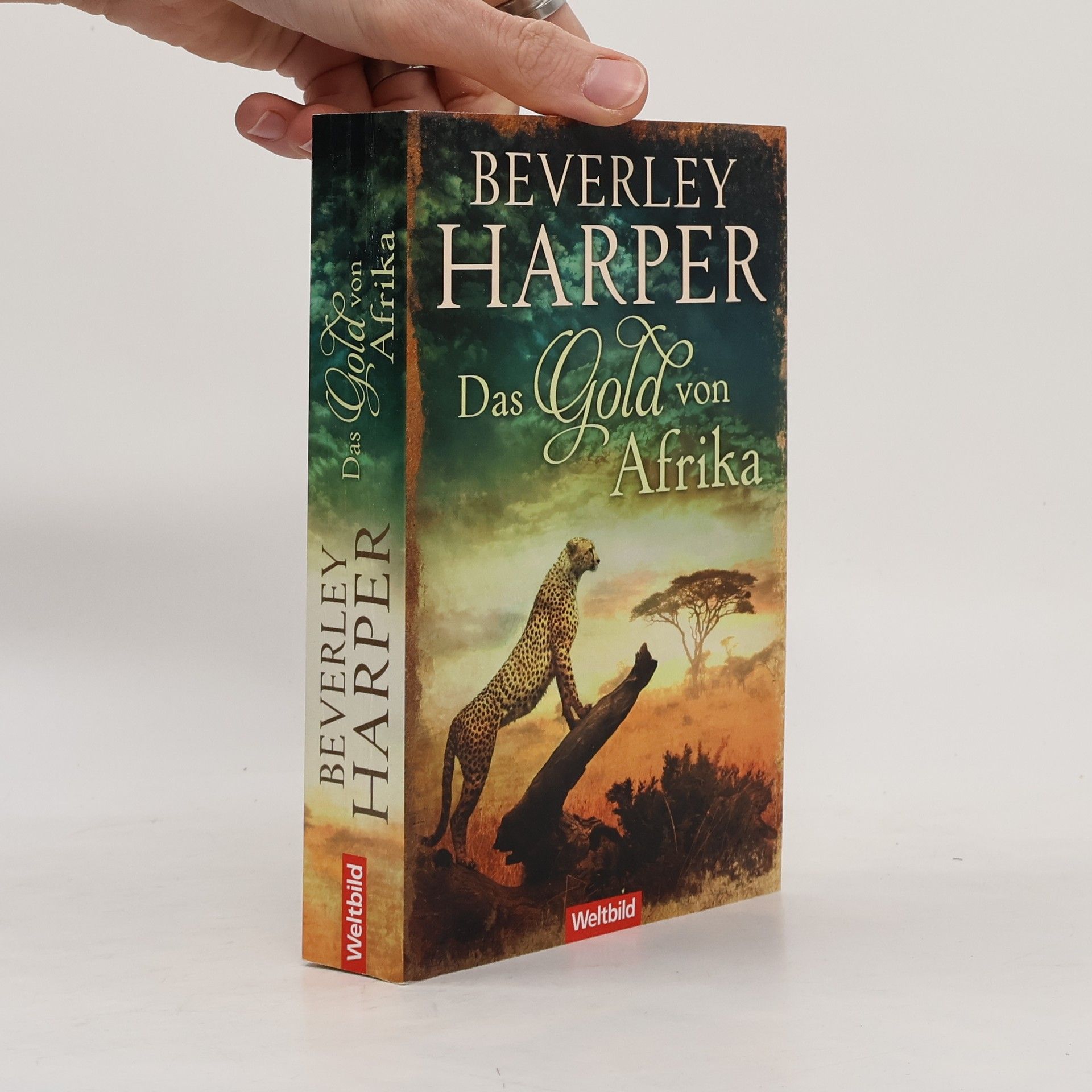 Beverley Harper Das Gold von Afrika