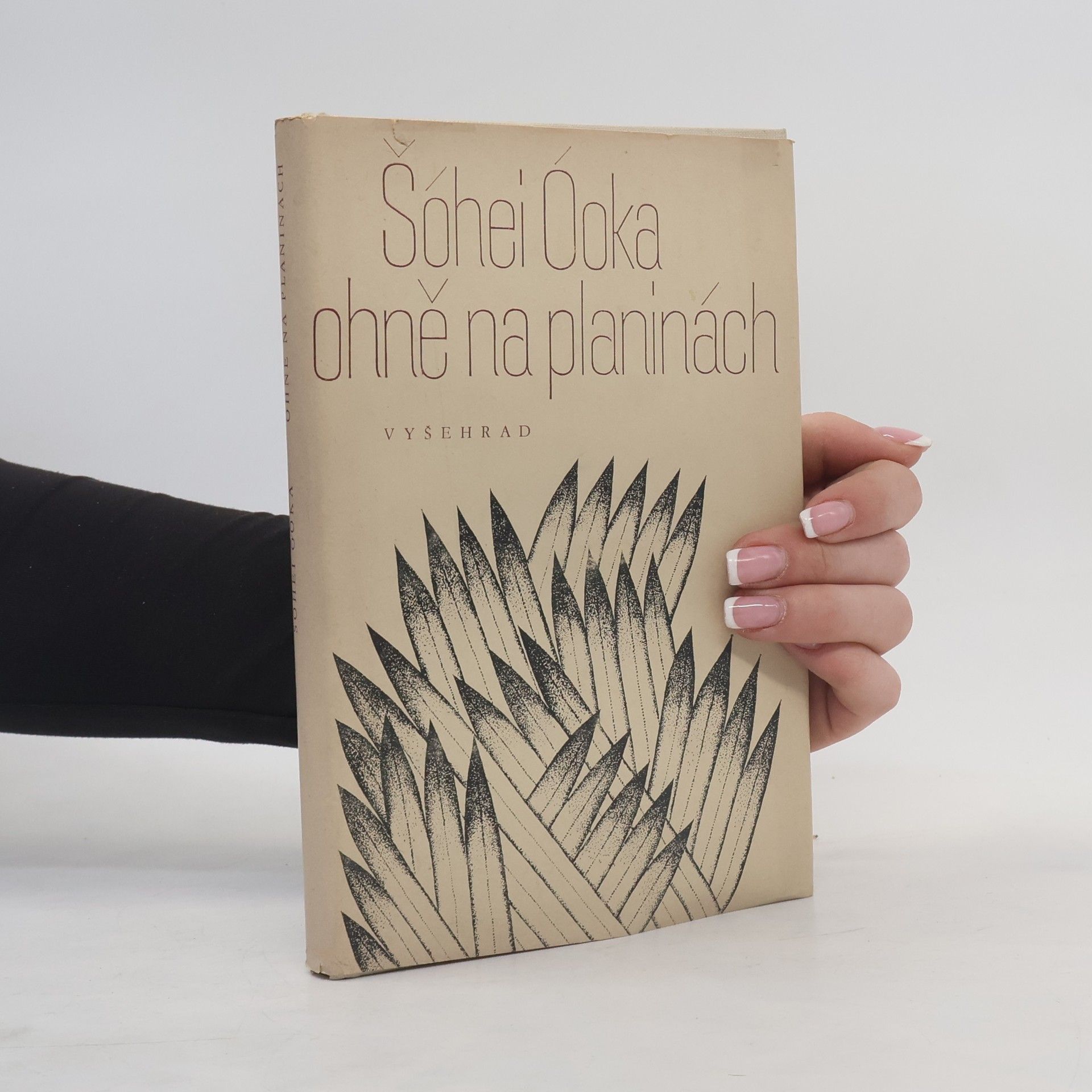 Shōhei Ōoka Ohně na planinách
