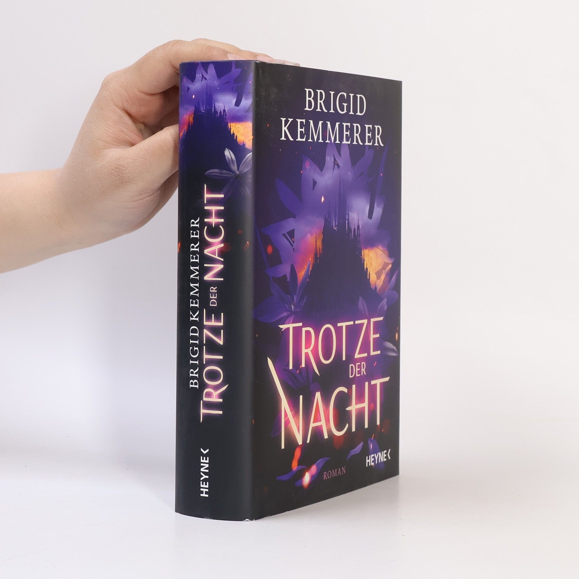 Brigid Kemmerer Trotze der Nacht