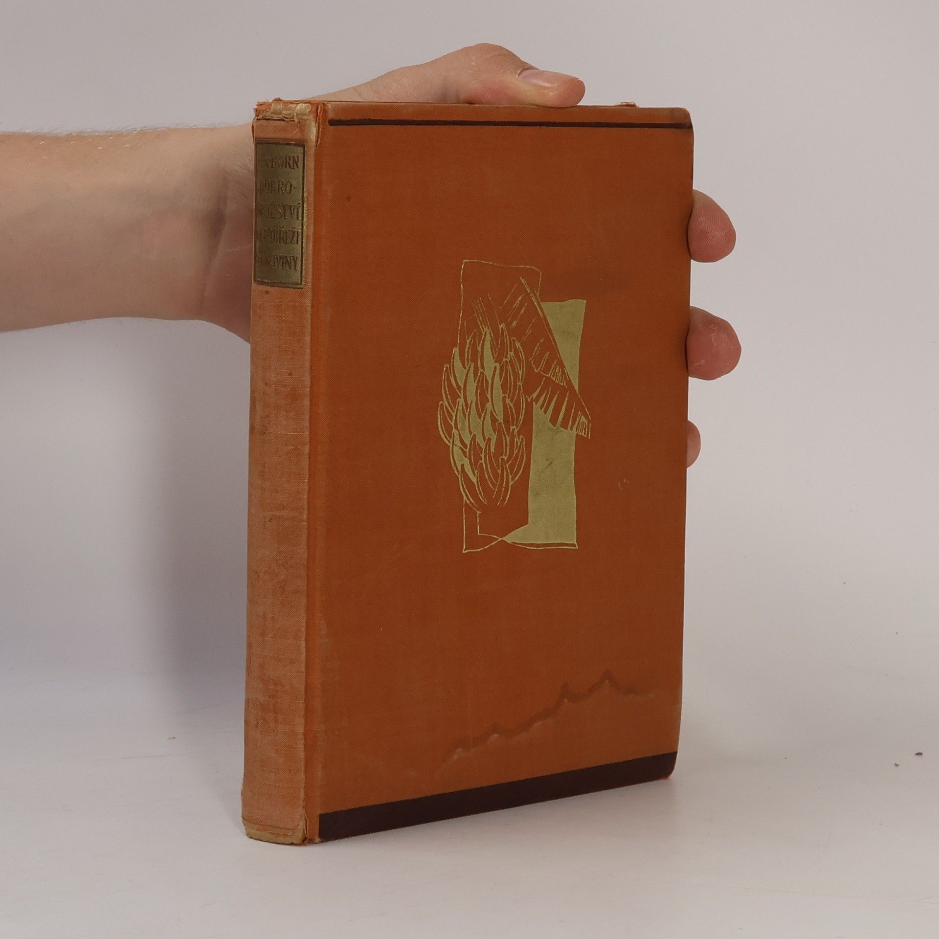 Alfred Aloysius Horn Dobrodružství na Pobřeží slonoviny