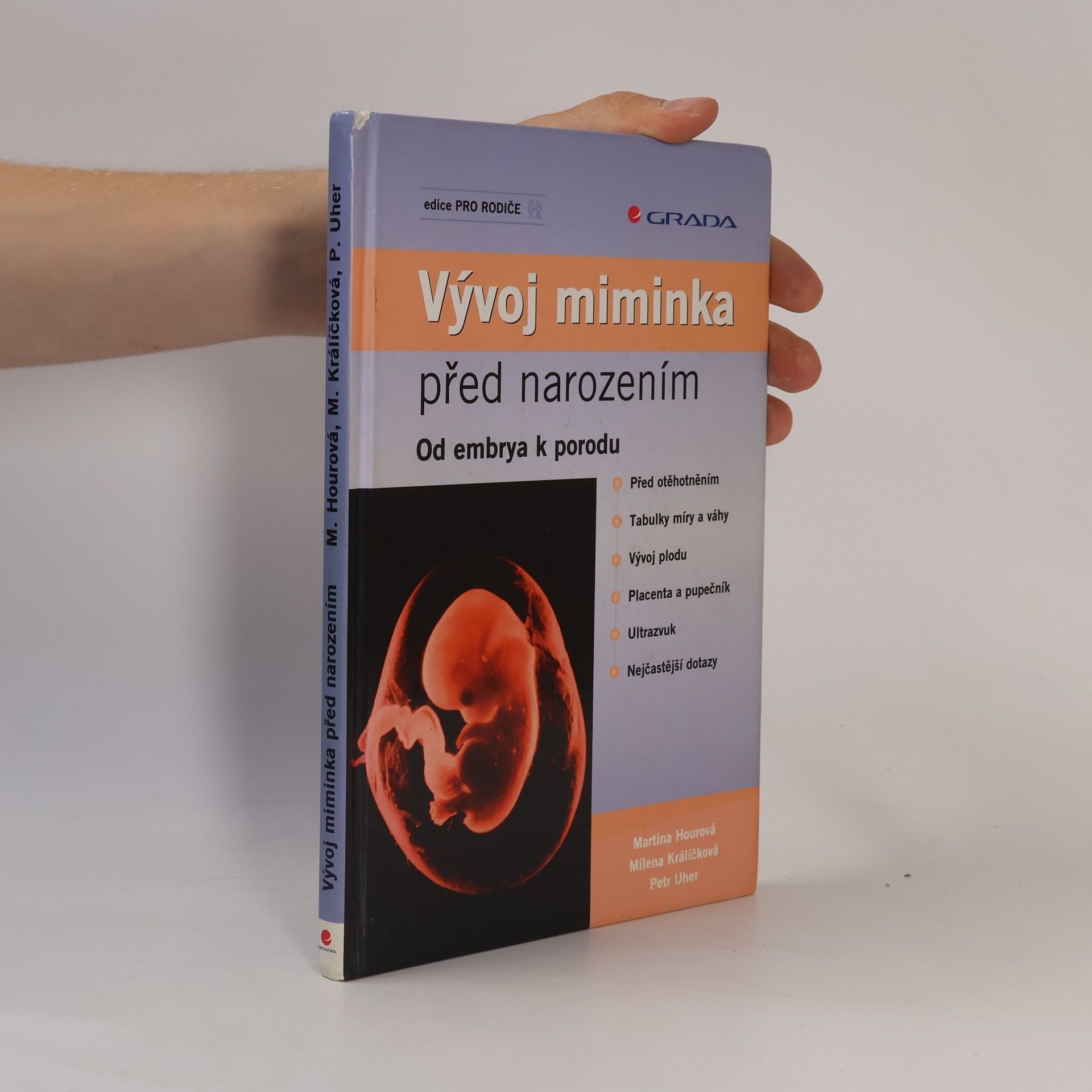 Vývoj miminka před narozením