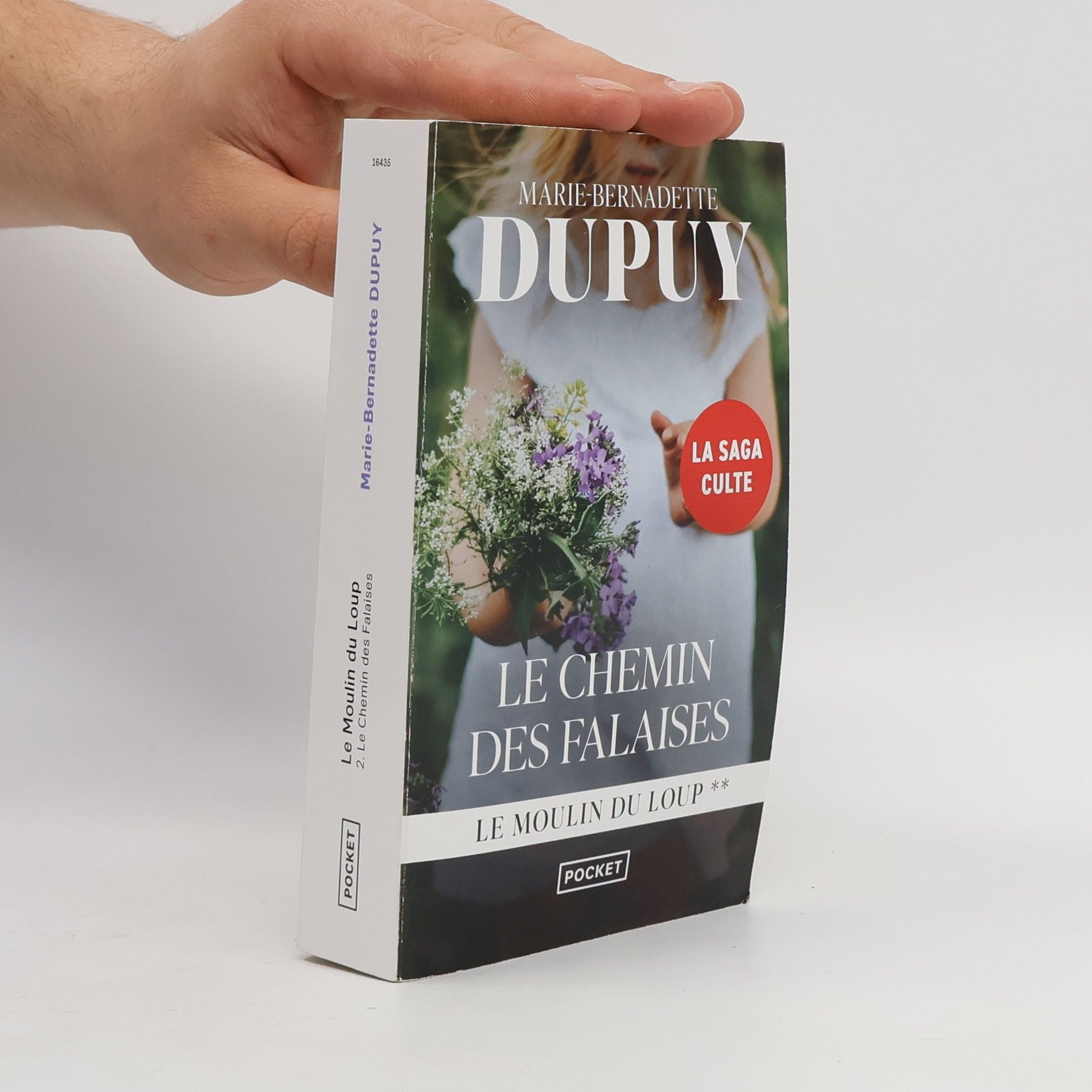 Marie-Bernadette Dupuy Le Chemin des falaises