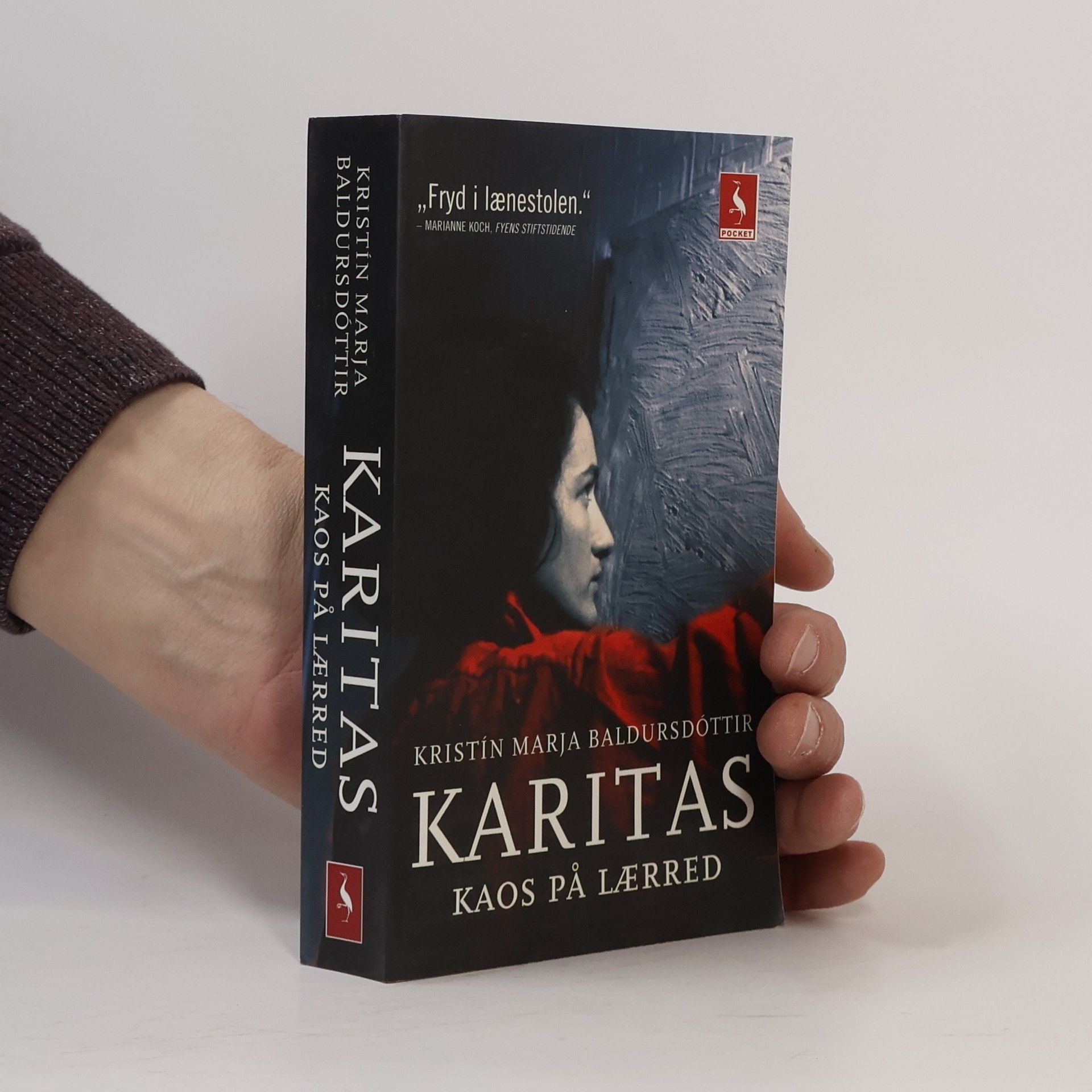 Karitas - kaos på lærred