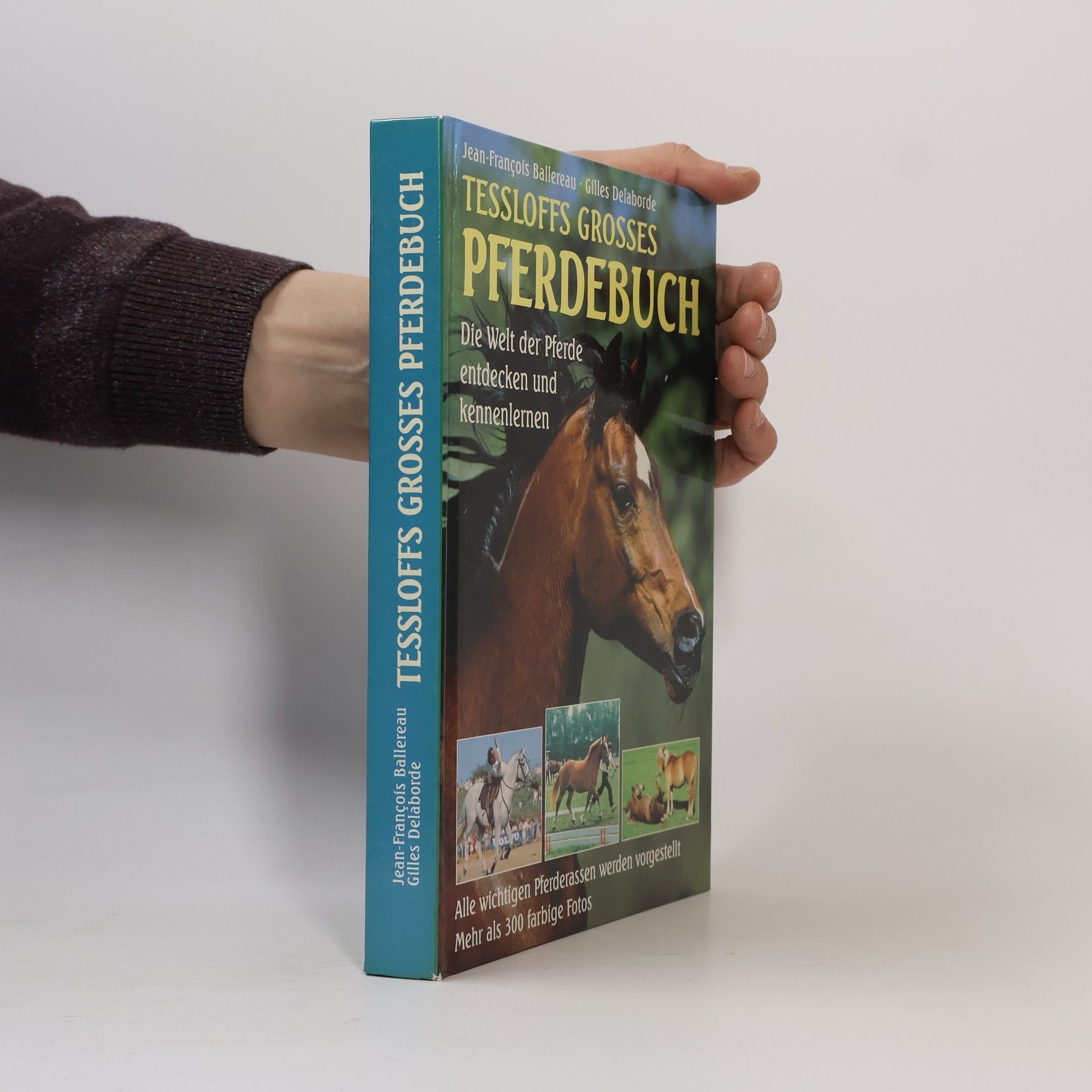 Jean Franc ois Ballereau Tessloffs grosses Pferdebuch