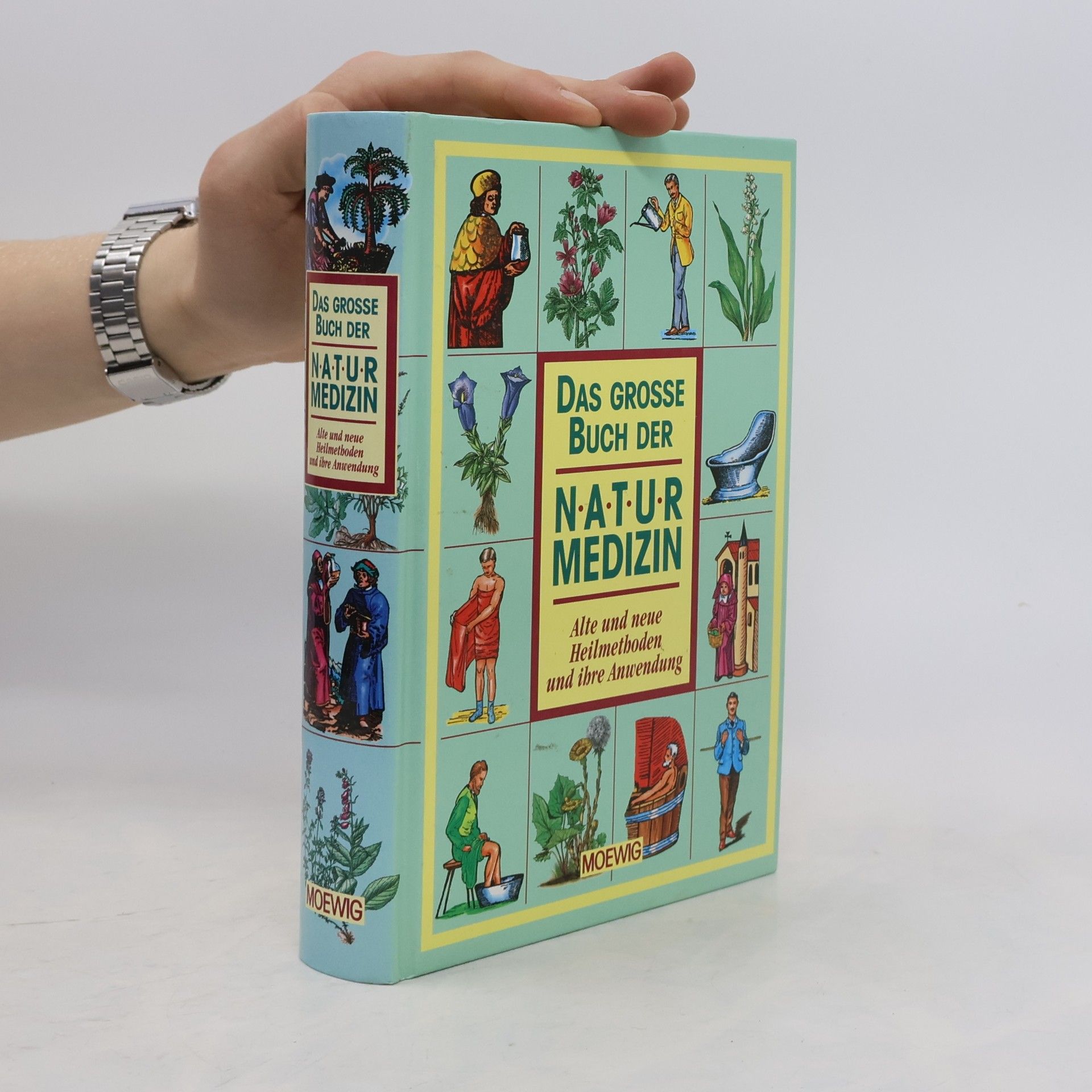 Maxmilian Alexander Das grosse Buch der Naturmedizin